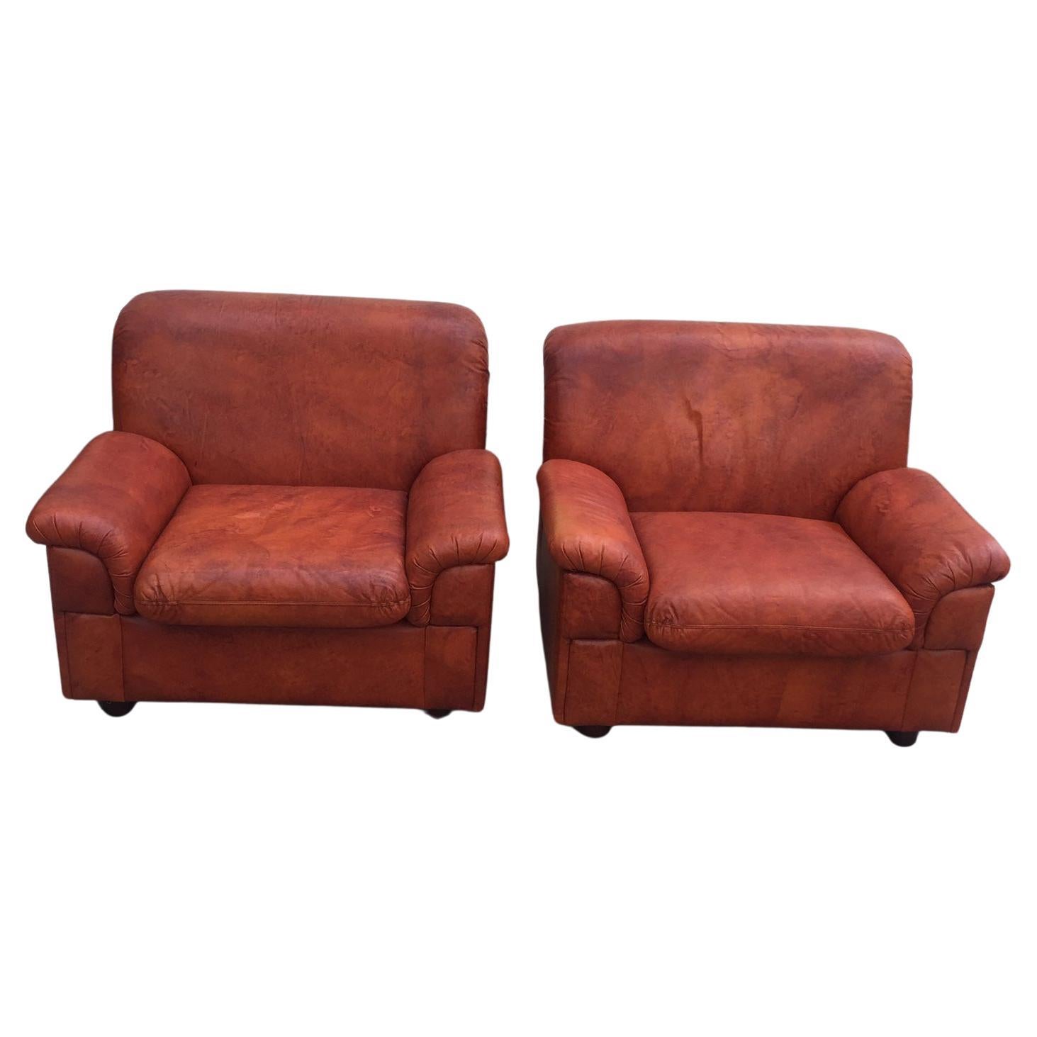 Amazing, Mid-Century Modern Pair of I Armchairs in the Style of Paolo Lomazzi