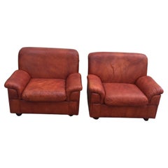 Amazing, Mid-Century Modern Pair of I Armchairs in the Style of Paolo Lomazzi