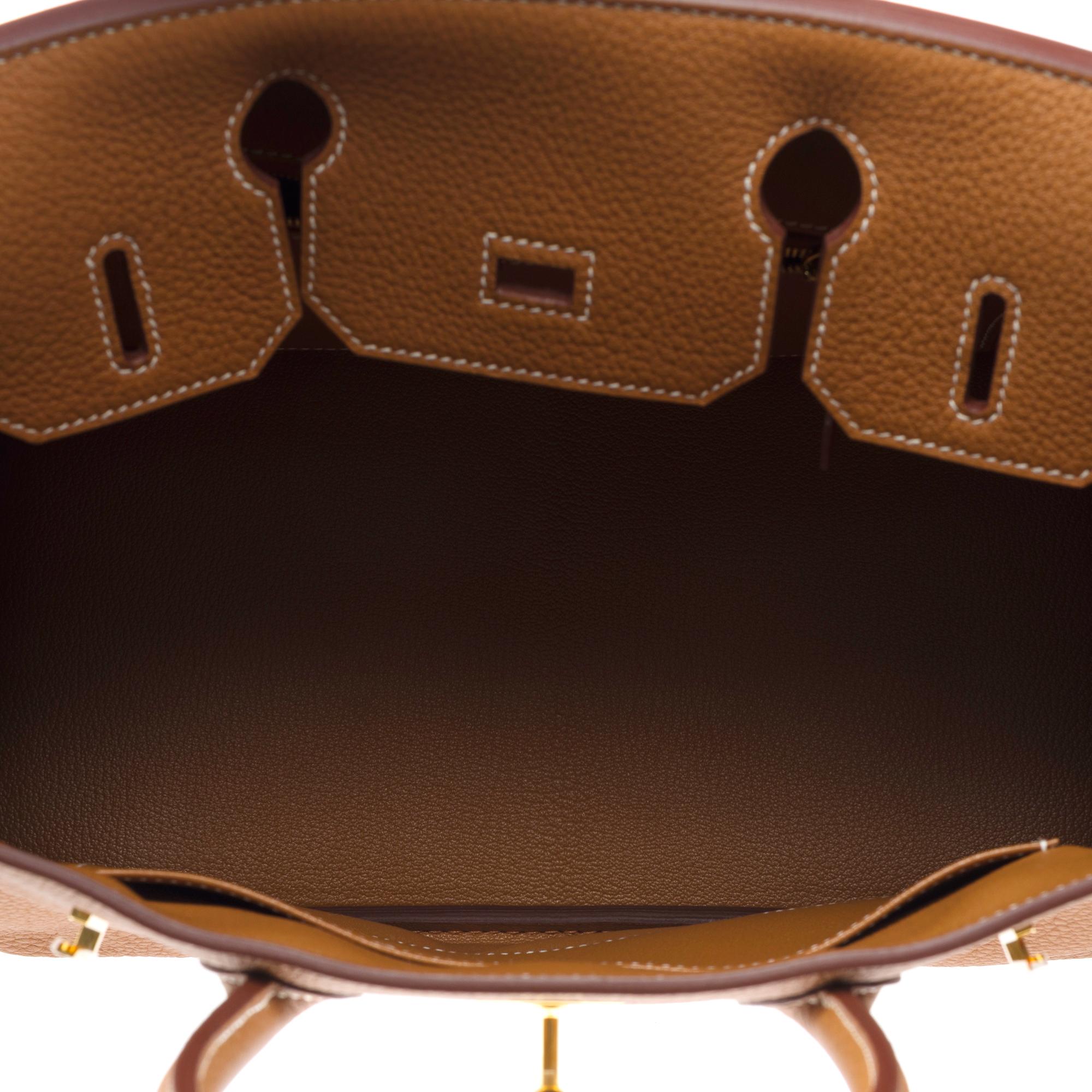 Amazing New Hermès Birkin 30 handbag in Gold (Fauve) Togo Calf leather, GHW 4