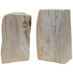Amazing Pair of 180 Million Year Old Pretrified Fossil Wood Bookends Door Stops