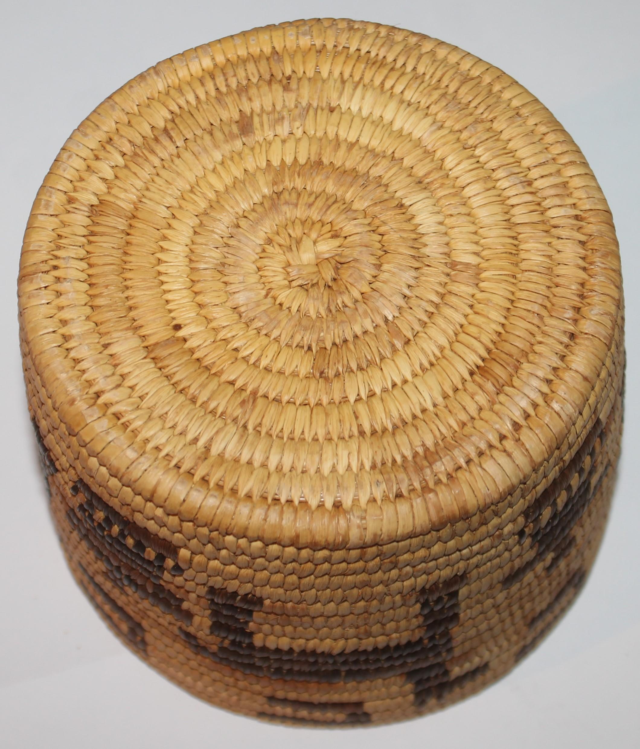 20th Century Amazing Pictorial Pima Indian Basket W/ Lid For Sale