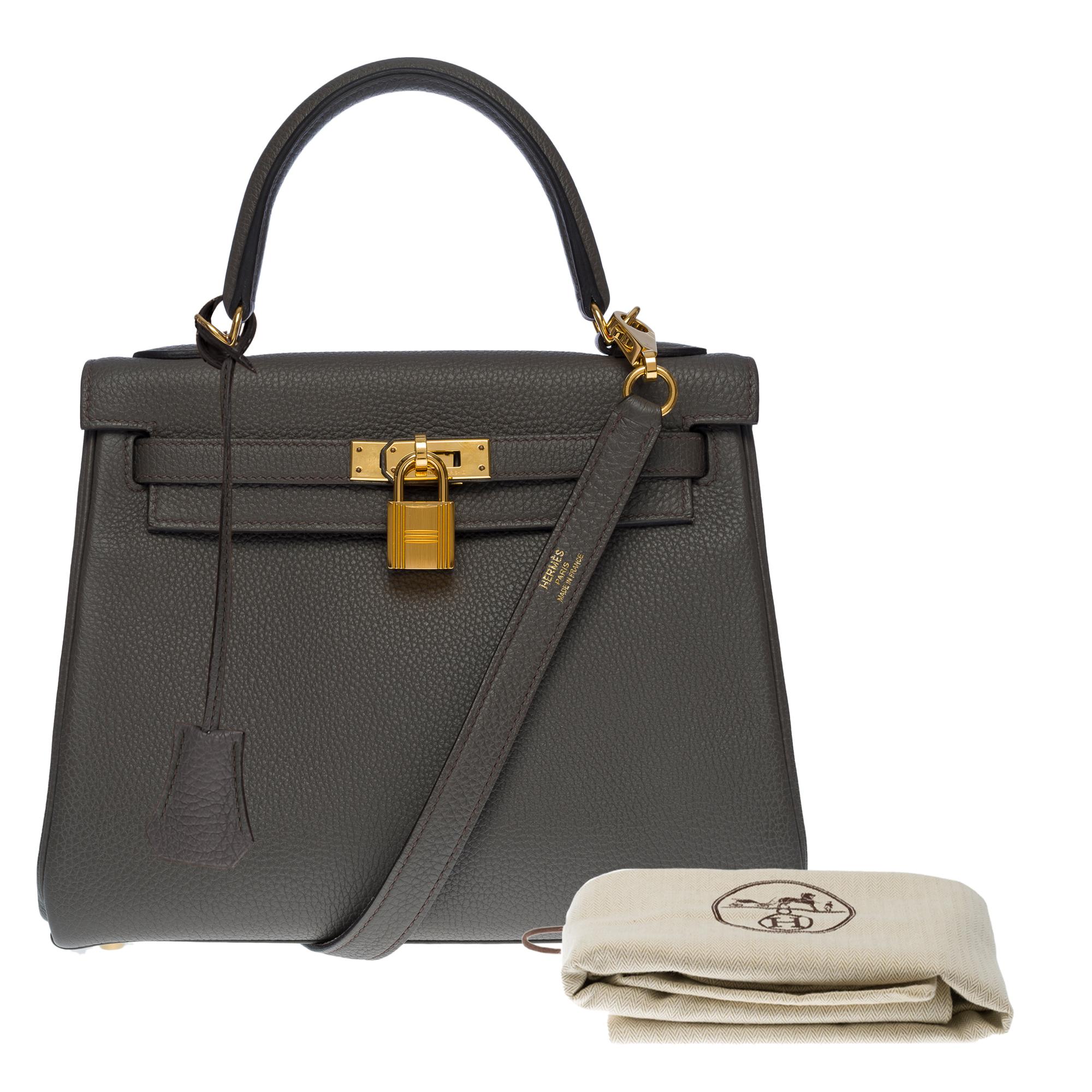 Amazing & Rare Hermès Kelly 25 handbag strap in Grey Togo etain leather, GHW 5