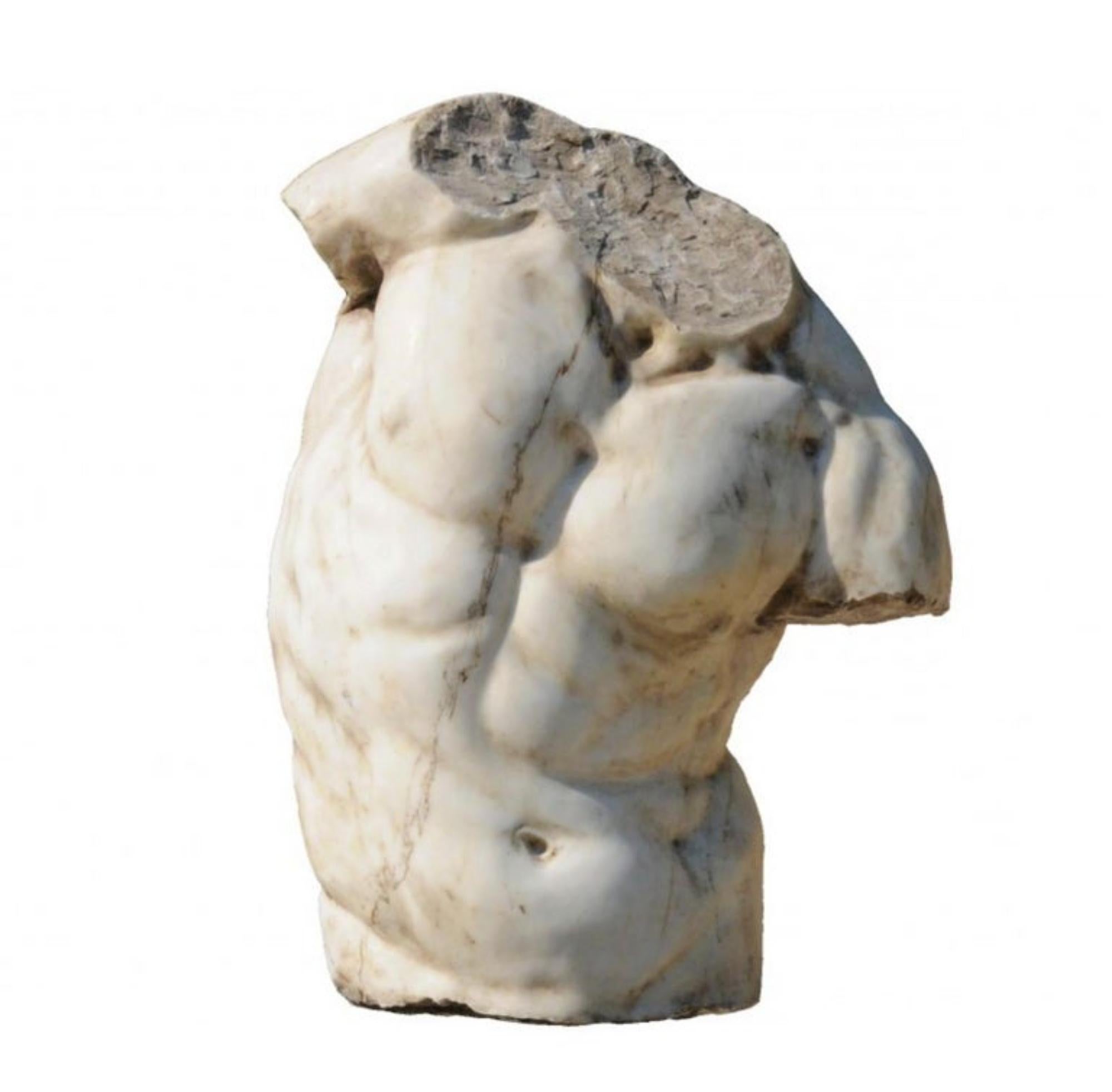Superbe gaddi torse en marbre blanc de Carrare fin 19e/ 20e siècle.
Italie
Torse masculin de centaure du IIe siècle av. Appelé 