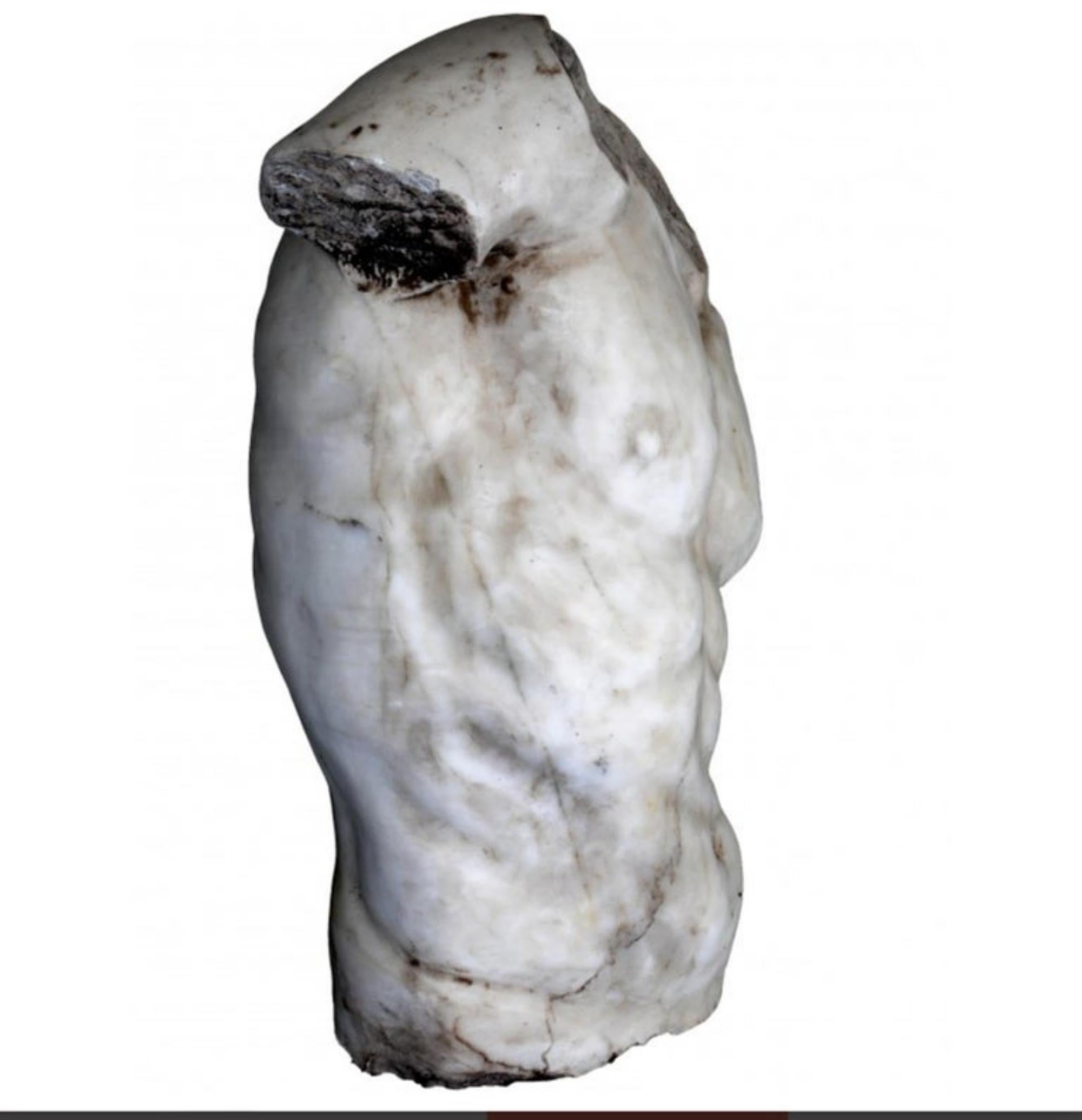 Erstaunlicher Torso Gaddi aus weißem Carrara-Marmor, Ende des 19. Jahrhunderts (Italienisch) im Angebot