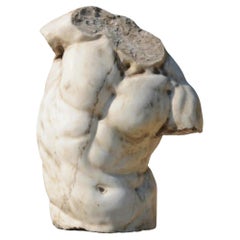 Amazing Torso Gaddi in White Carrara Marble, End 19th Century