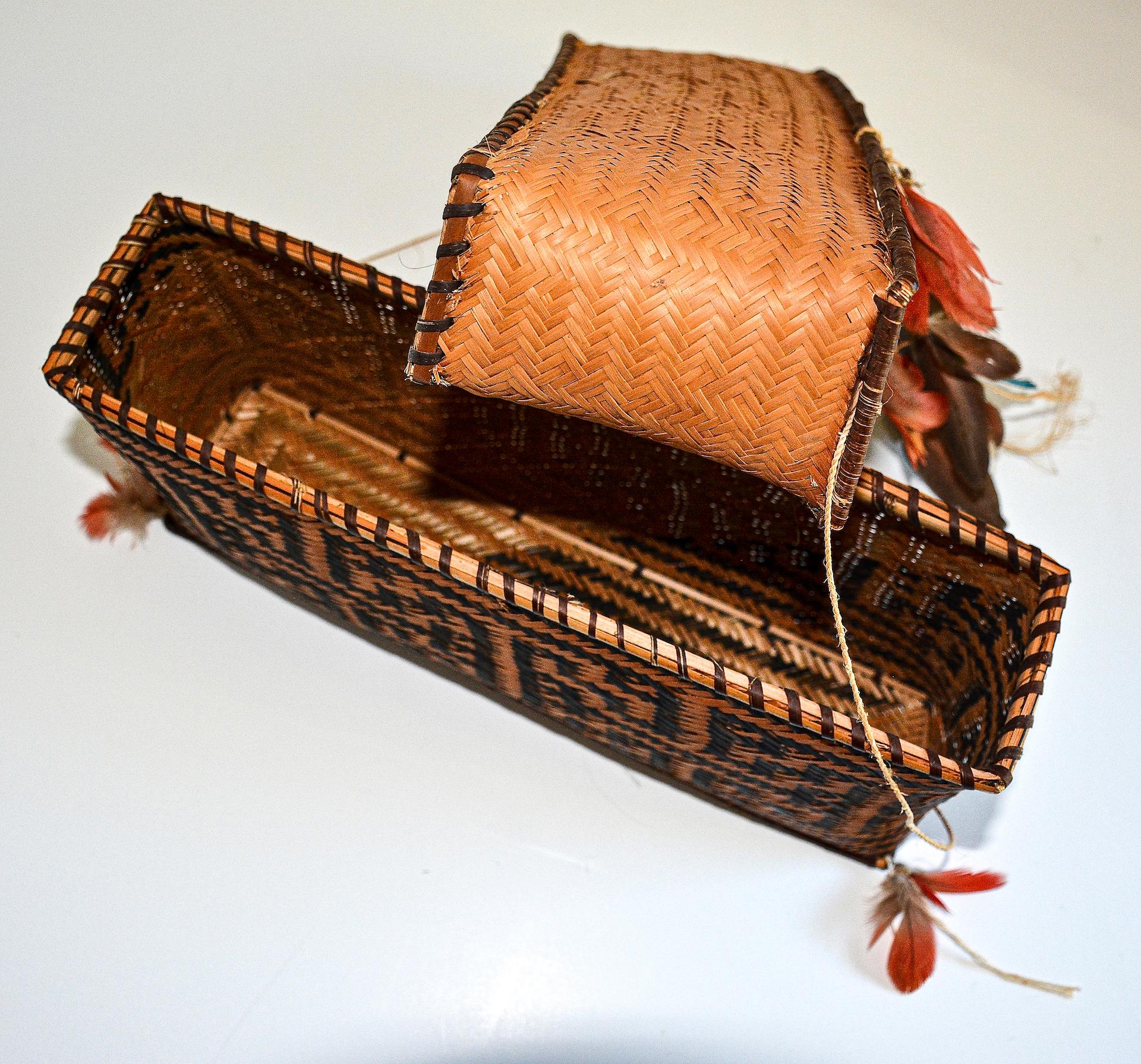 20th Century Amazonian Feather Storage Basket For Sale