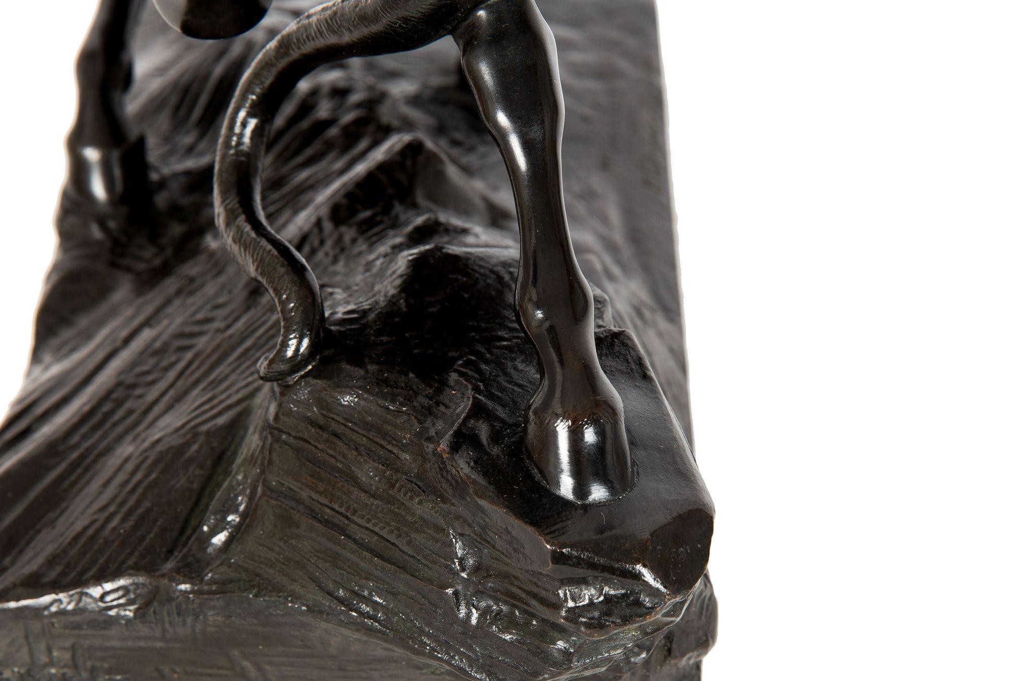 “Amazonian Fighting a Tiger” German Antique Bronze Sculpture by August Kiss 7