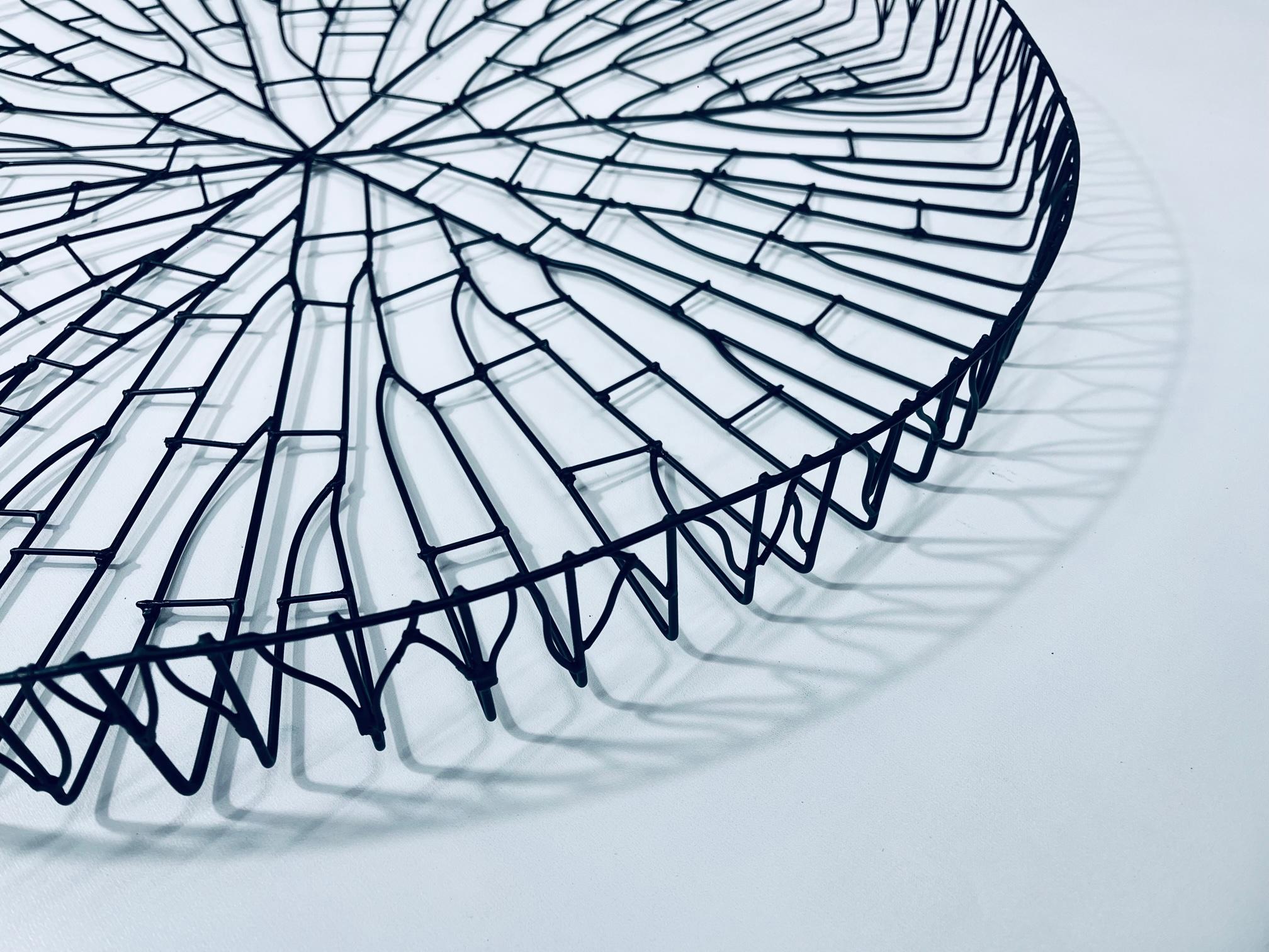 Le sculture sono ispirate alle foglie di VitóriaRégia che si trovano a galleggiare nei fiumi dell'Amazzonia. Con un'espressione minimalista, le linee rappresentano le nervature o vene che la pianta utilizza per effettuare la fotosintesi, che