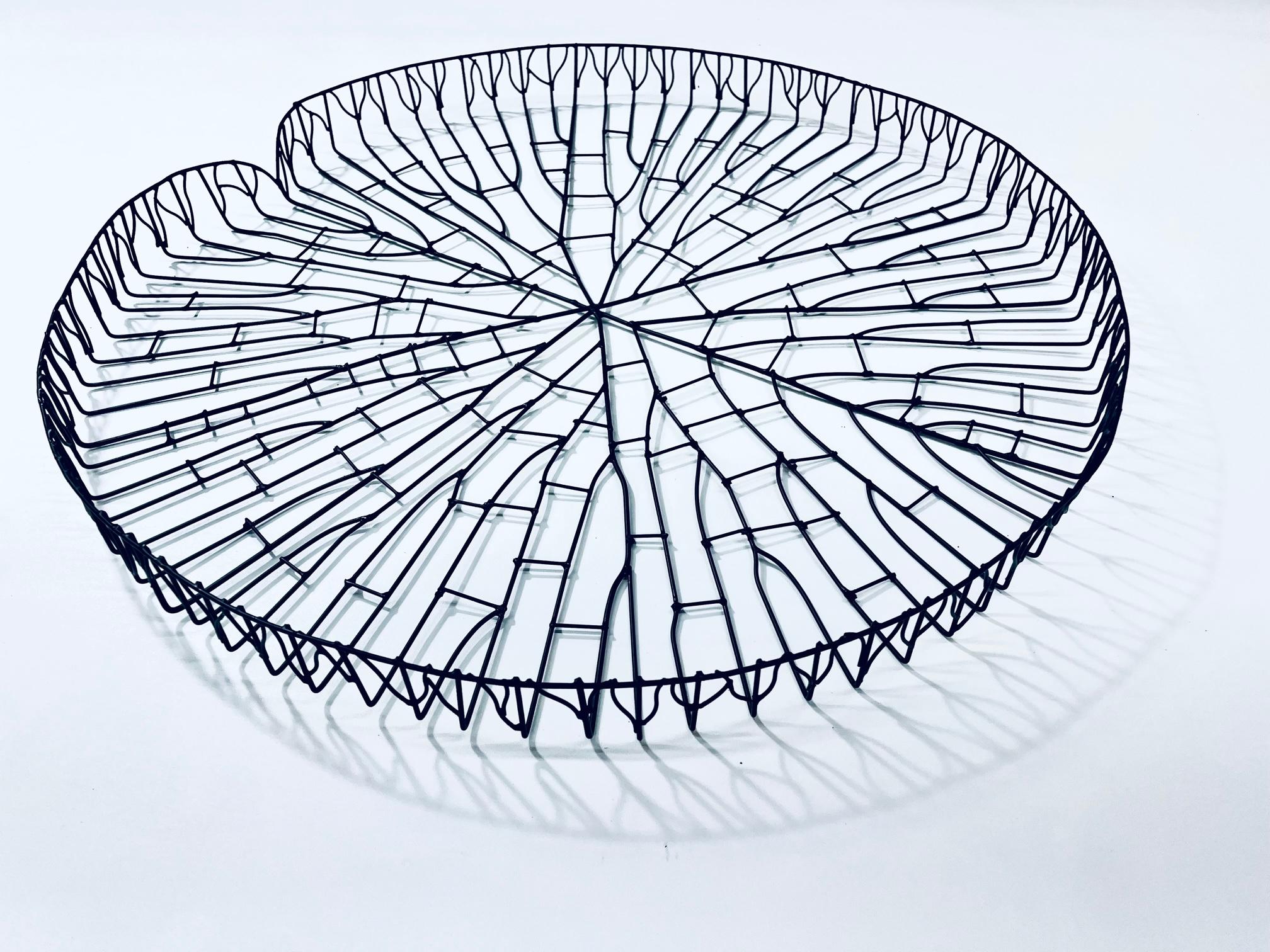 Arts and Crafts Scultura Victoria Regia dell'Amazzonia in vendita