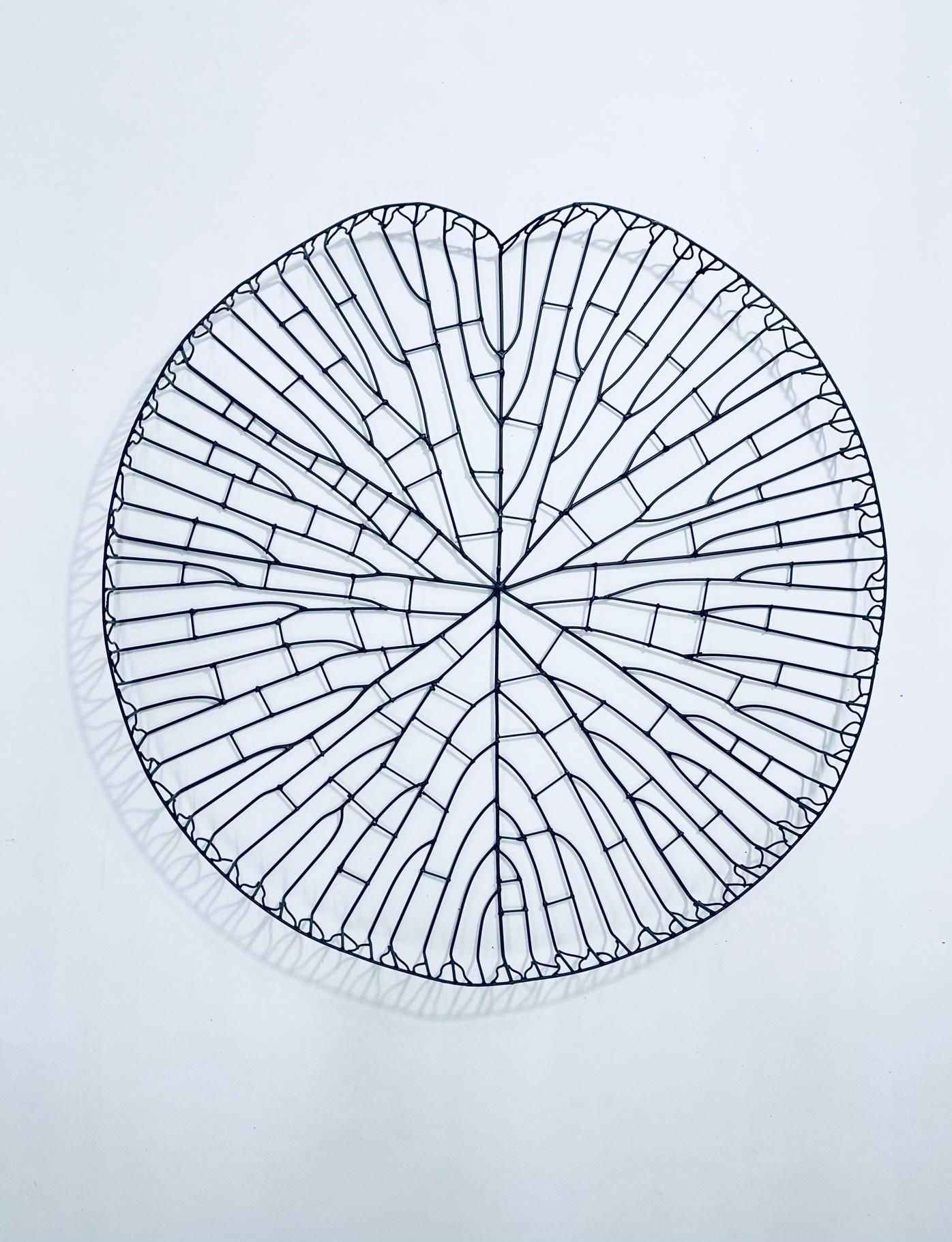 Brasiliano Scultura Victoria Regia dell'Amazzonia in vendita