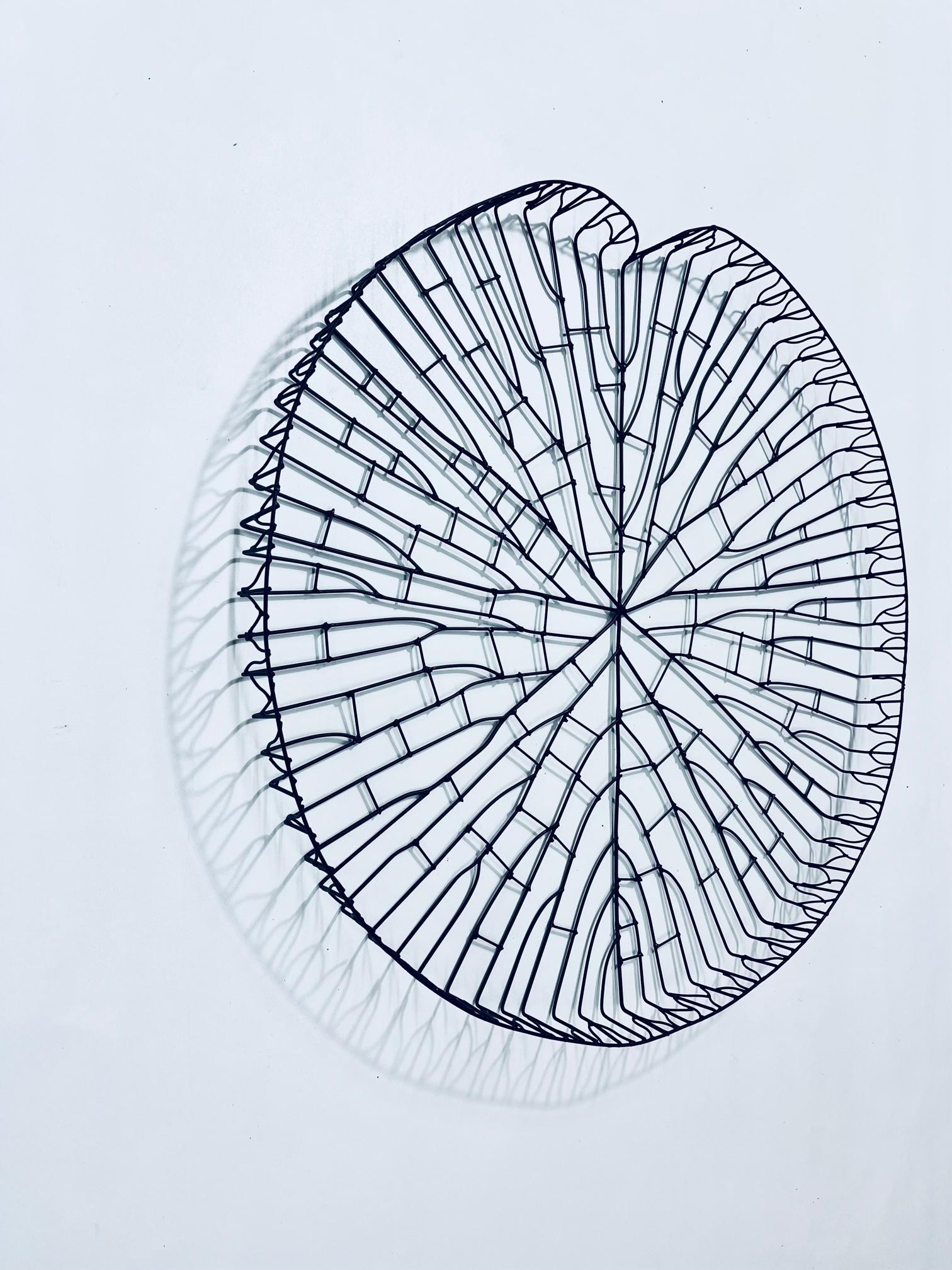 Fatto a mano Scultura Victoria Regia dell'Amazzonia in vendita