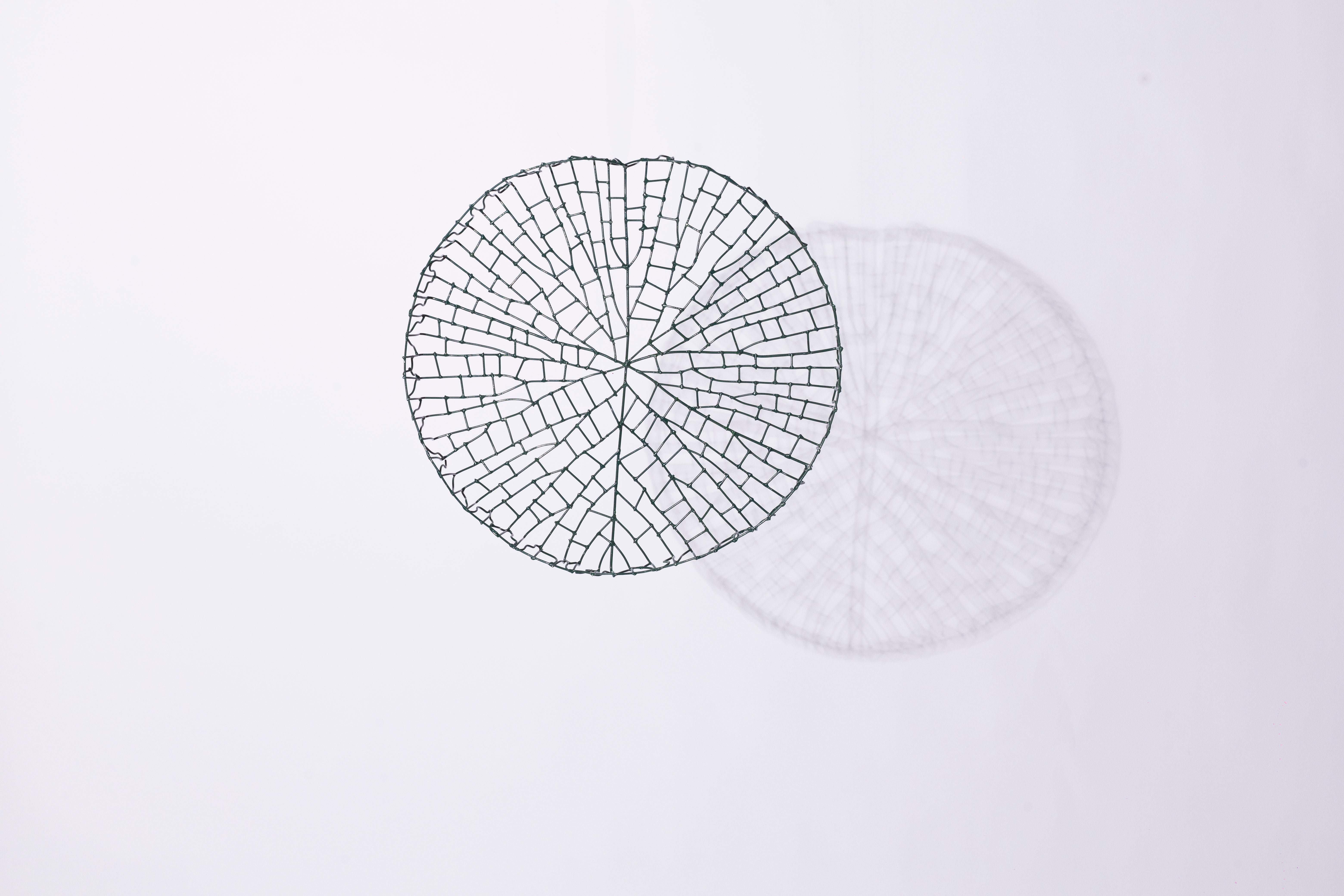 XXI secolo e contemporaneo Scultura Victoria Regia dell'Amazzonia in vendita