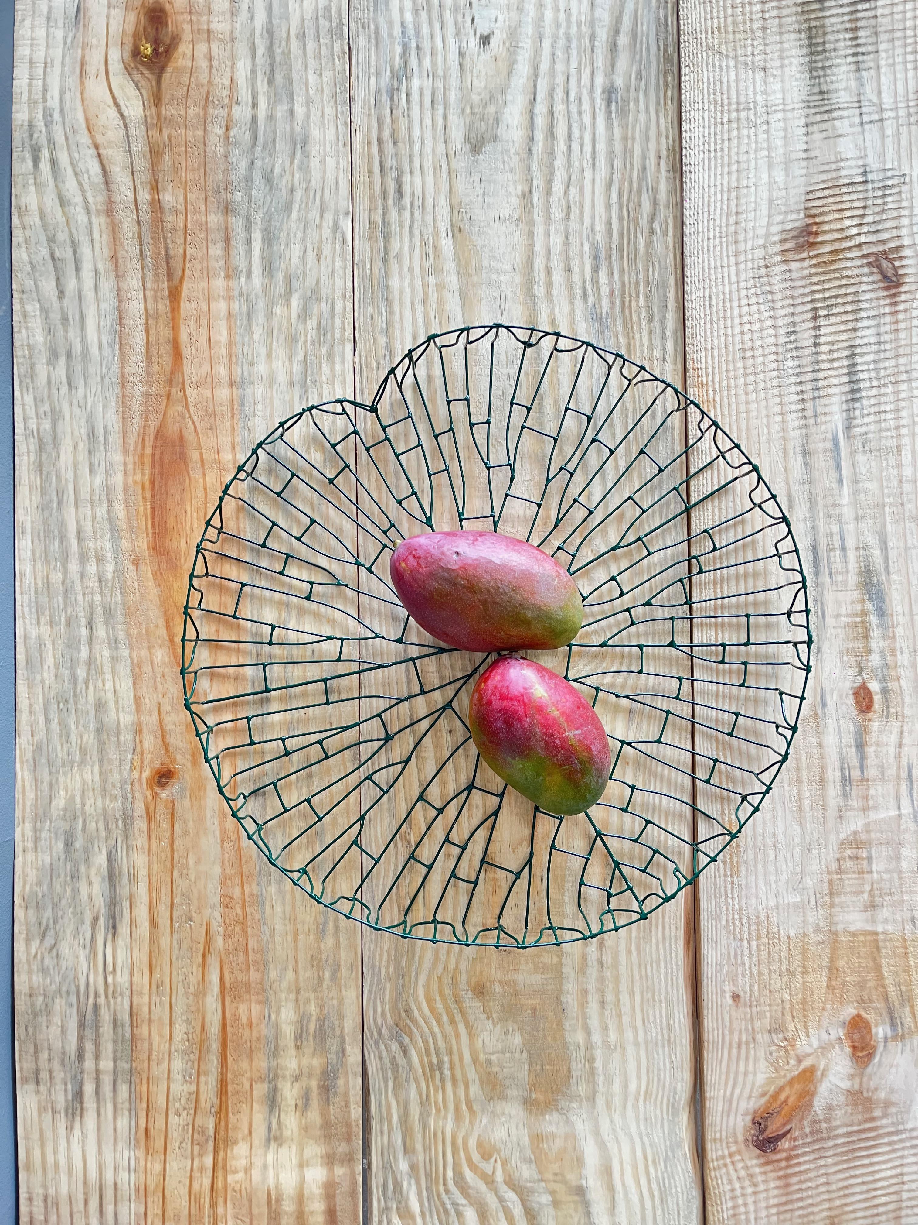 Scultura Victoria Regia dell'Amazzonia in vendita 1