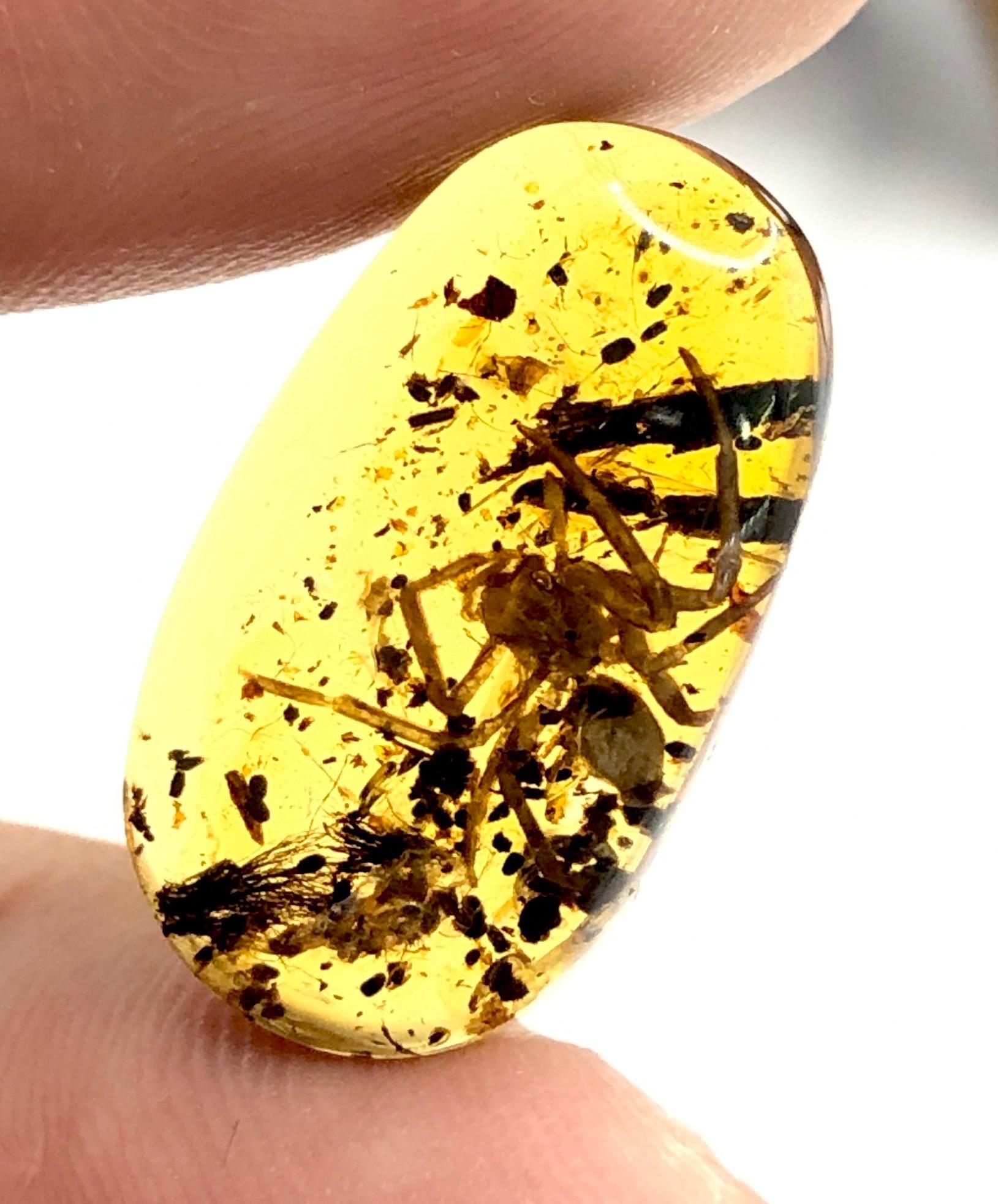 Amber Burmese 5.70 ct Rare Collector Item  In Excellent Condition For Sale In Bangkok, TH