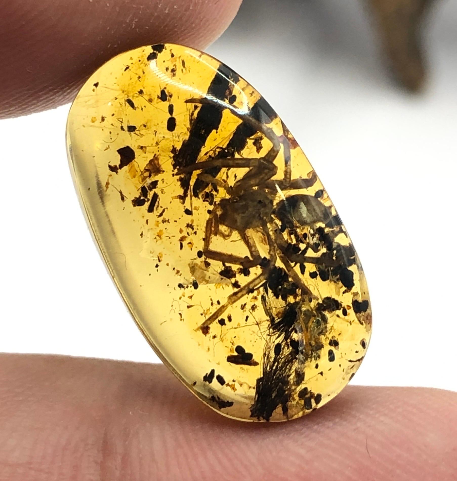 Women's or Men's Amber Burmese 5.70 ct Rare Collector Item  For Sale