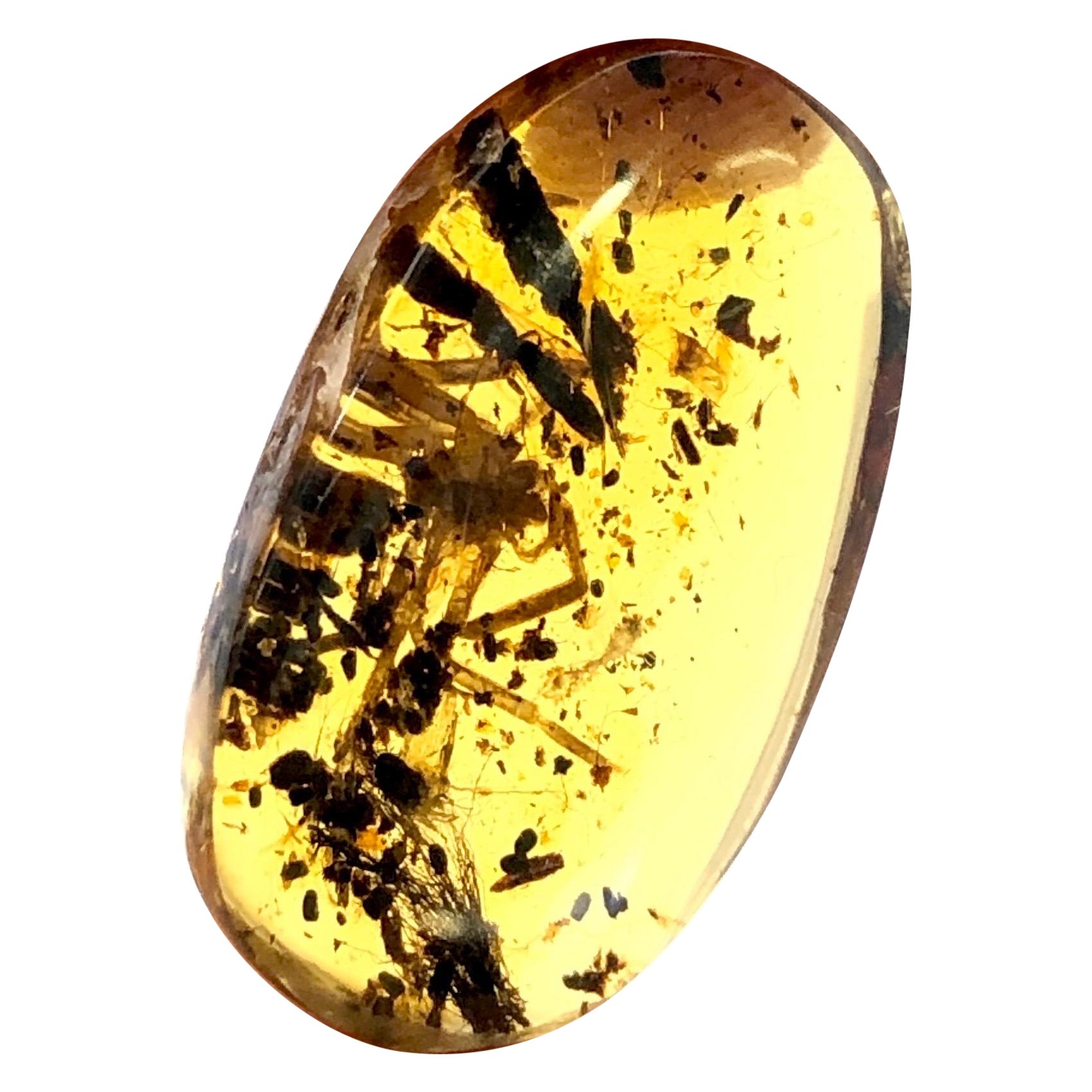 Ambra Birmana 5,70 ct Raro oggetto da collezione in vendita