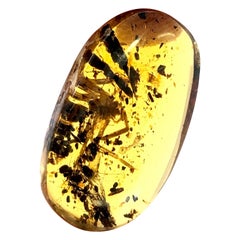 Ambra Birmana 5,70 ct Raro oggetto da collezione