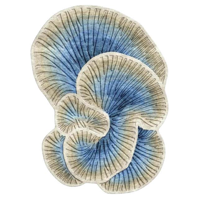 Lichen Blue Orange Organic Vibrant Natural Rug Standard Size For Sale ...