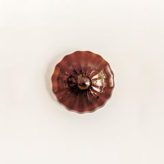 Bernsteinfarbener Wandleuchter aus Espadín-Glas, groß, Agave Collection'S