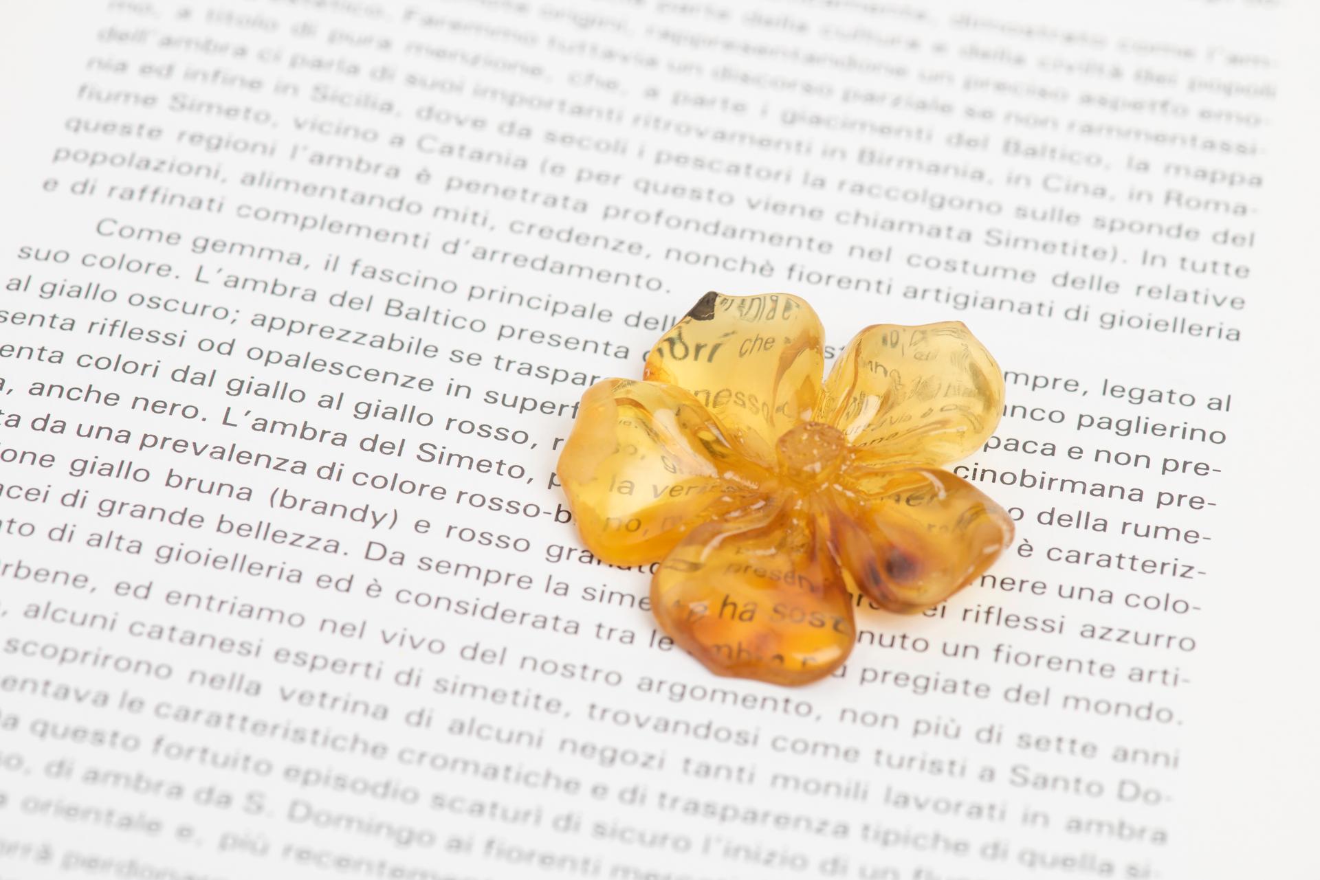 Amber Flowers For Sale 7