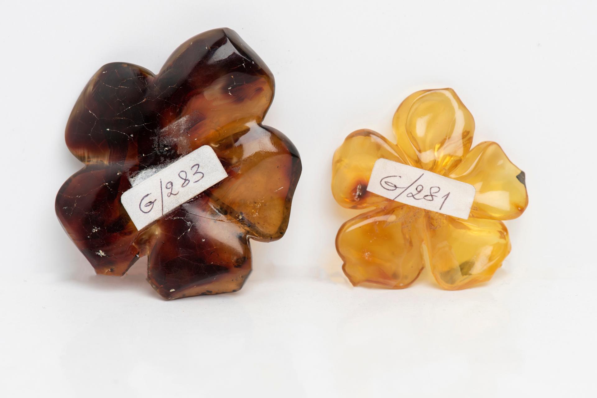 Dominican  amber flowers : to be mounted as You wish: as an object or as a jewel.

ref. G/281 (light) : cm. 4 x 4 x 0,5.

ref. G/283 (dark): cm. 5 x 5 x 1 cm.