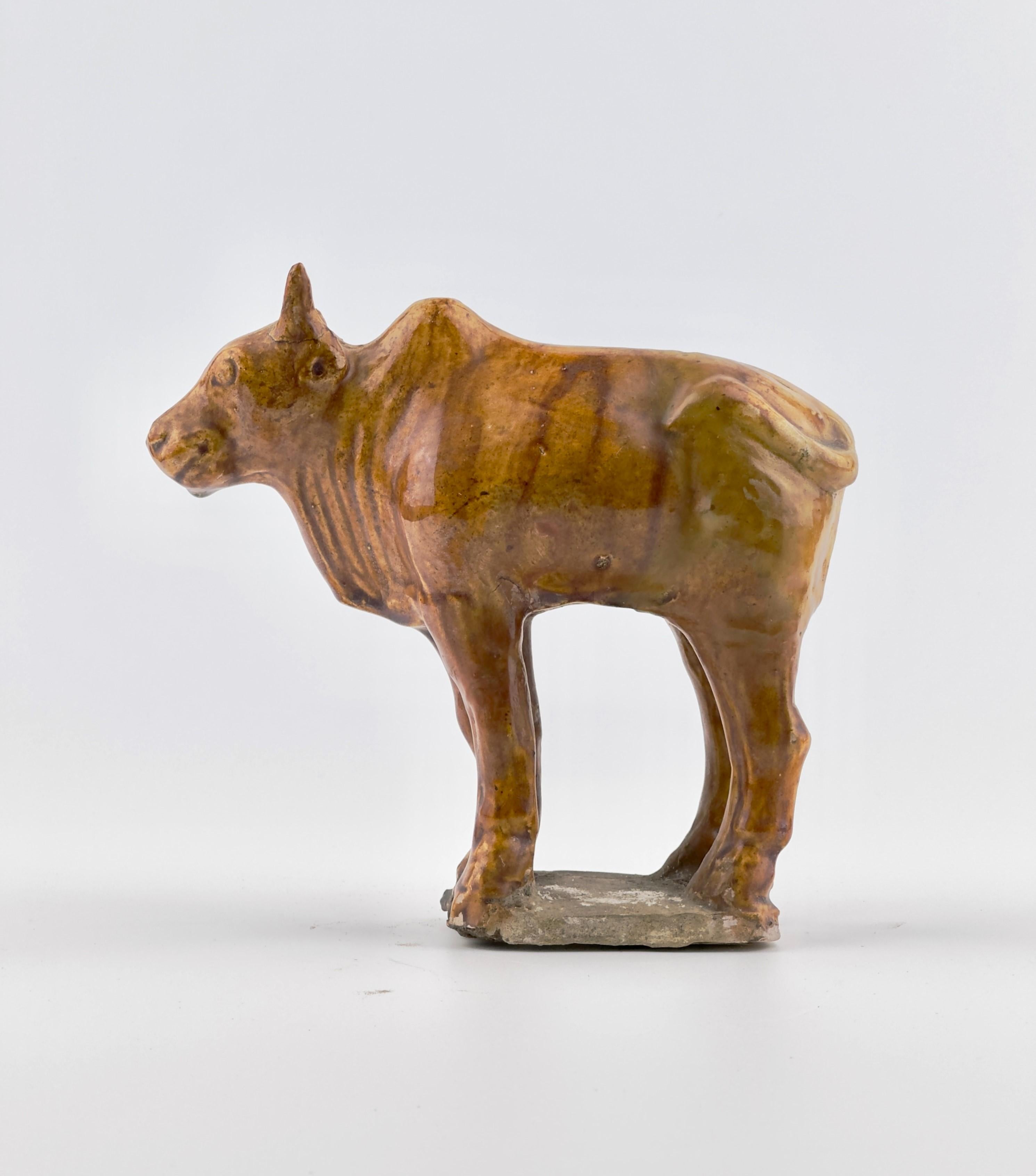 Naturalistically modelled, standing on a rectangular base with head facing forward and short tail curled to one side, incised details and covered overall in a rich chestnut glaze save for the hooves and base.

Date : Tang-Liao Dynasty(7-12TH