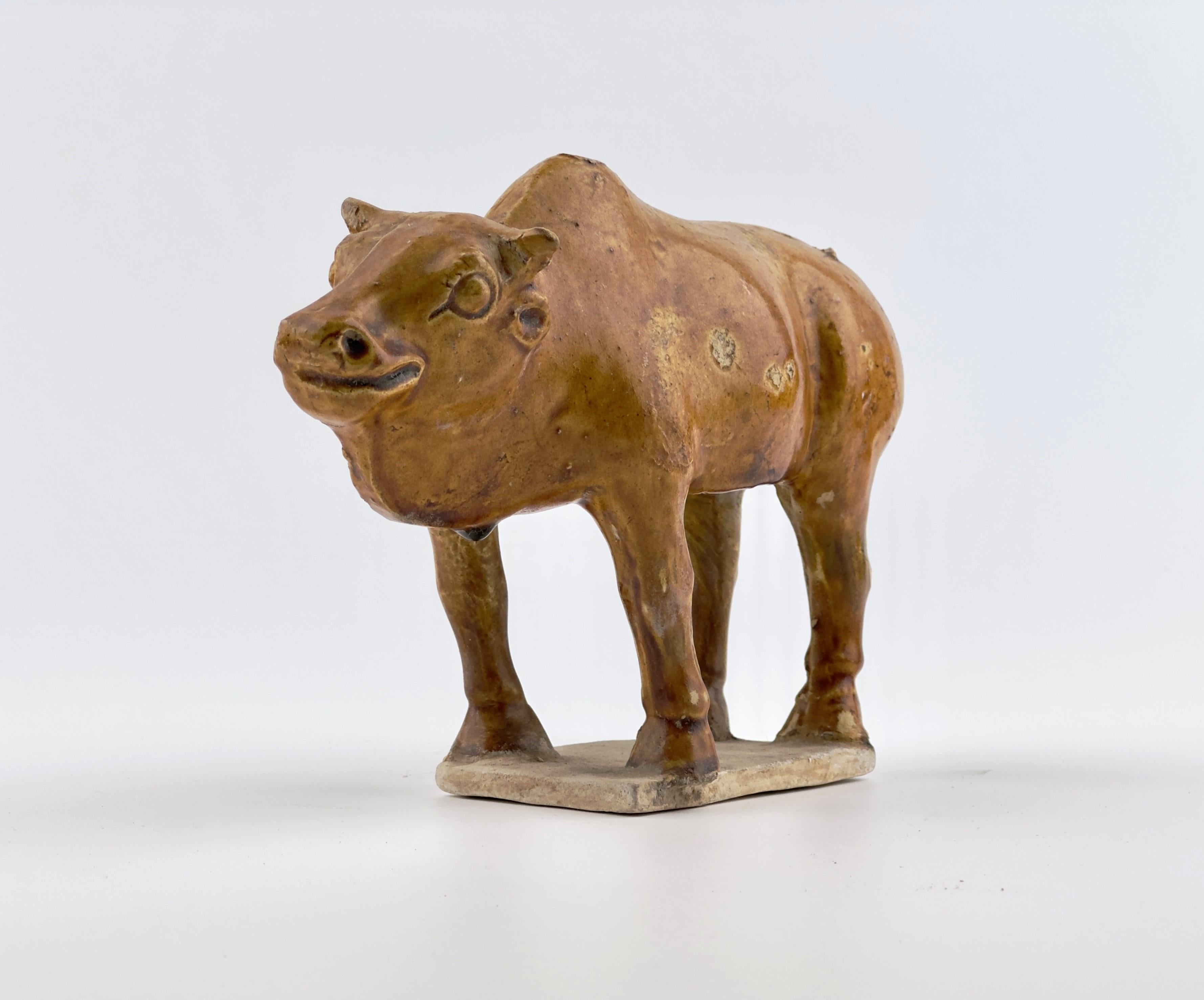 Naturalistically modelled, standing on a rectangular base with head facing forward and short tail curled to one side, incised details and covered overall in a rich chestnut glaze save for the hooves and base.

Date : Tang-Liao Dynasty(7-12TH