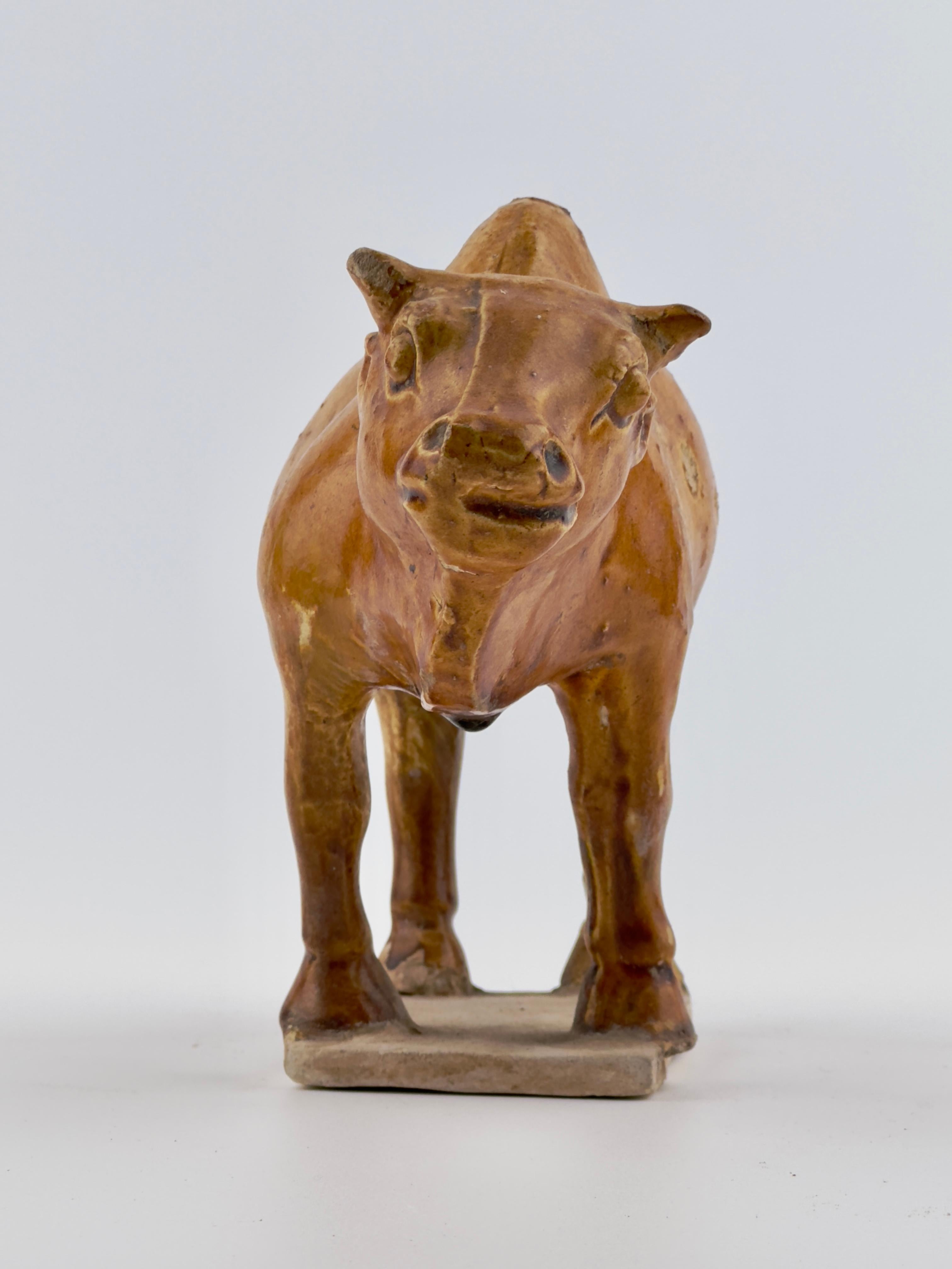 Hong Kong Amber-Glazed Pottery Figure of Sacred Bull, Tang-Liao Dynasty (7-12th Century) For Sale