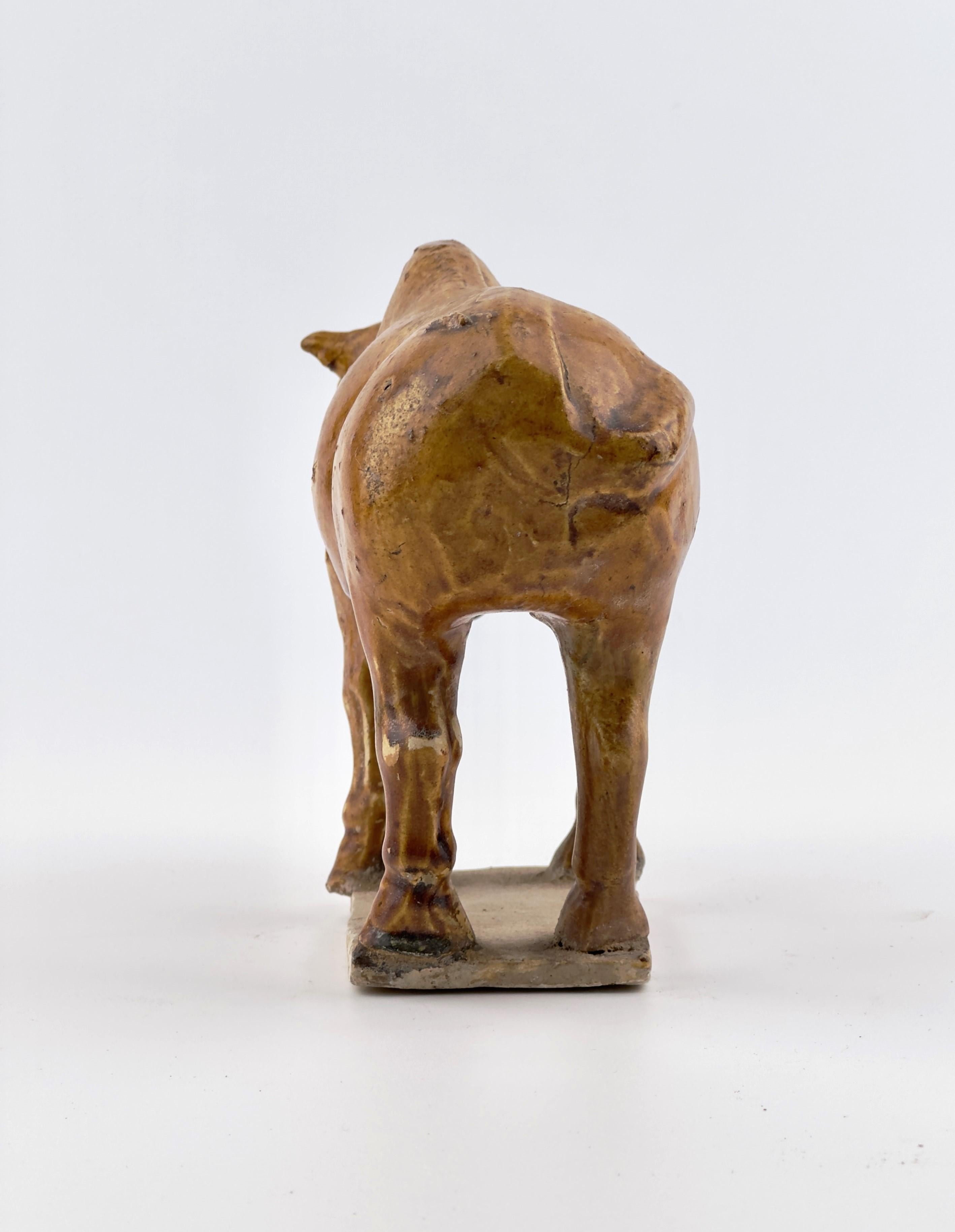 Amber-Glazed Pottery Figure of Sacred Bull, Tang-Liao Dynasty (7-12th Century) For Sale 1