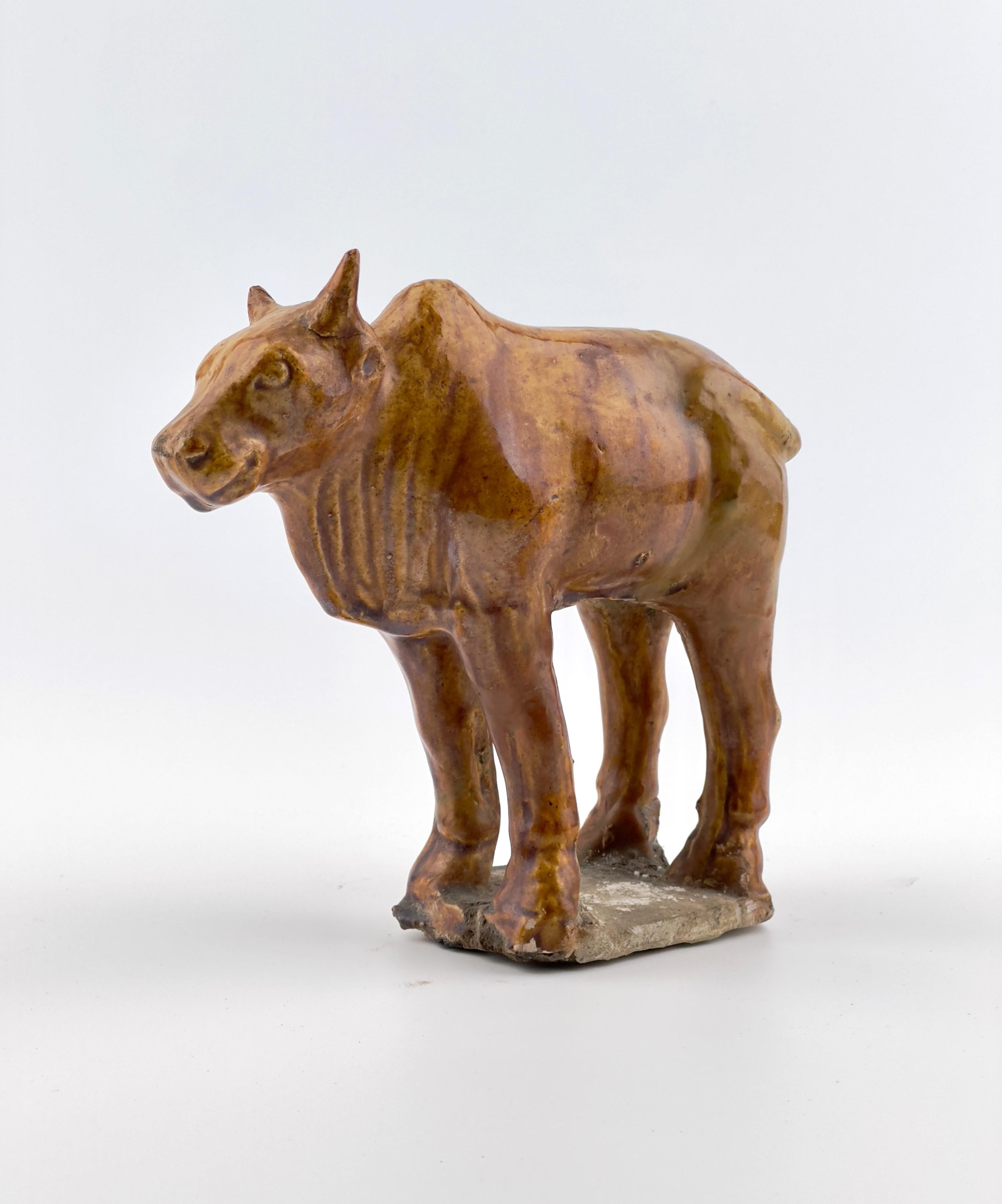 Amber-Glazed Pottery Figure Of Sacred Bull, Tang-Liao Dynasty (7-12th Century) For Sale 3