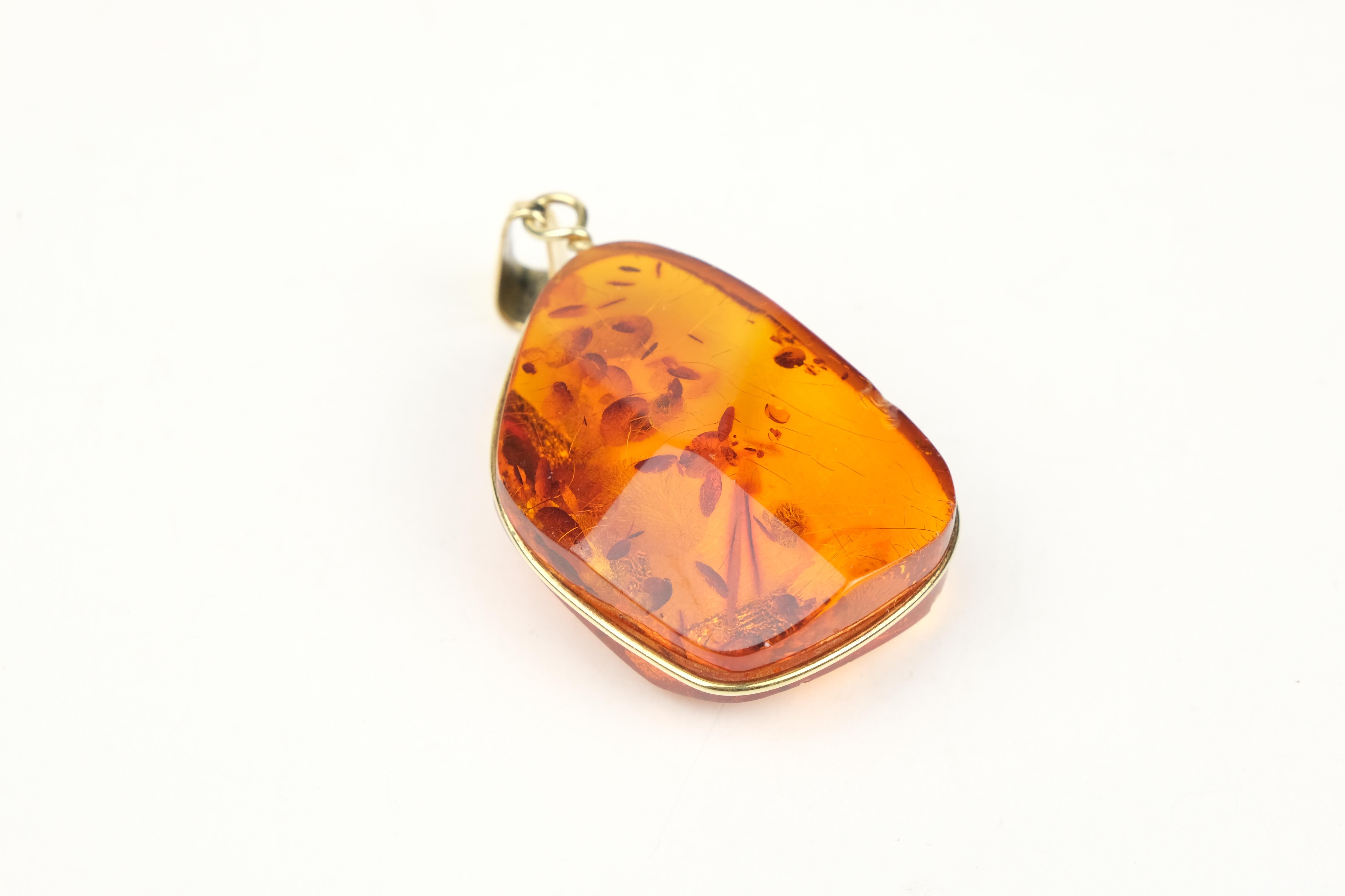 Amber Necklace Pendant In Good Condition For Sale In Bradford, Ontario