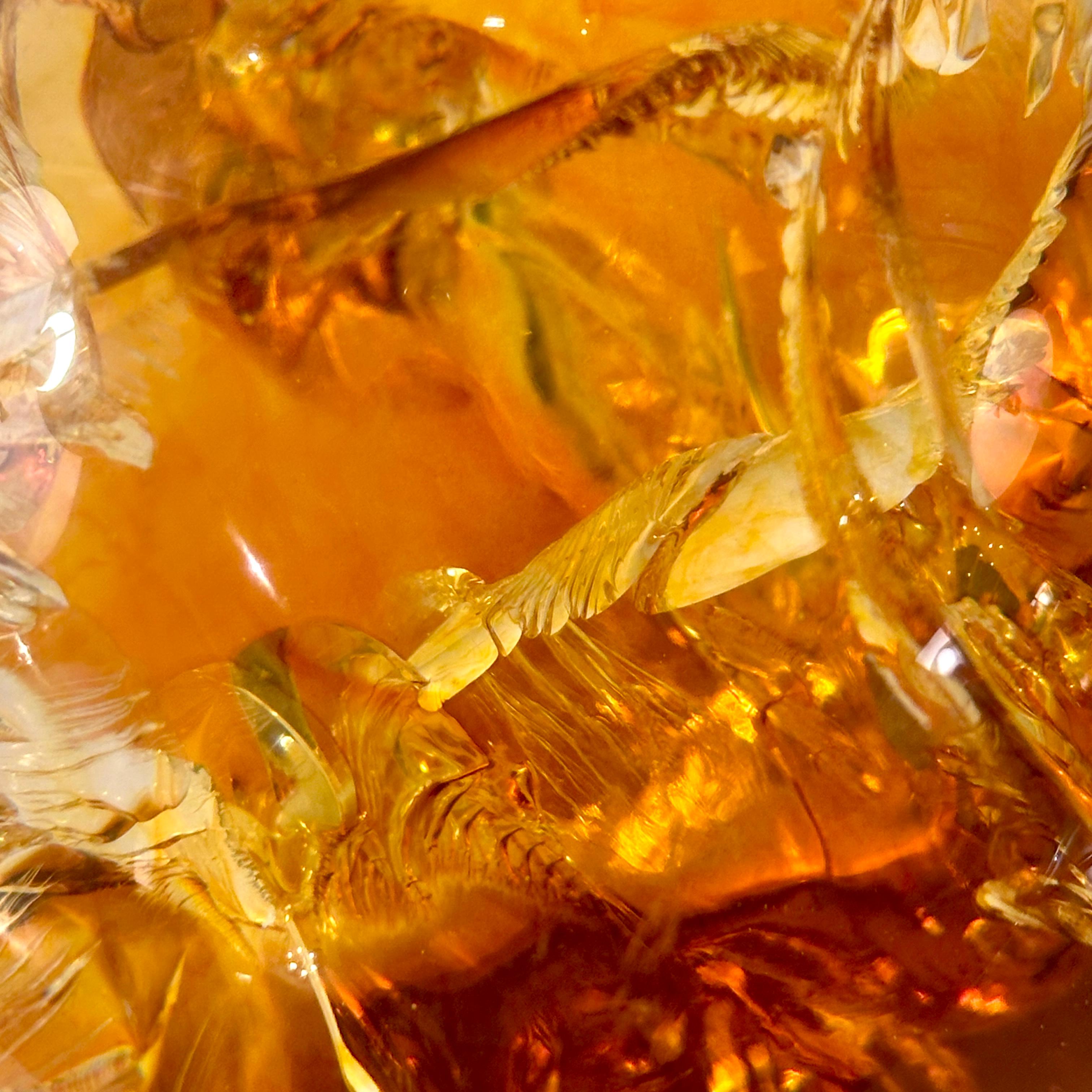Amber Resin Fractal in the style of Francois Godebski, ca 1970s For Sale 4