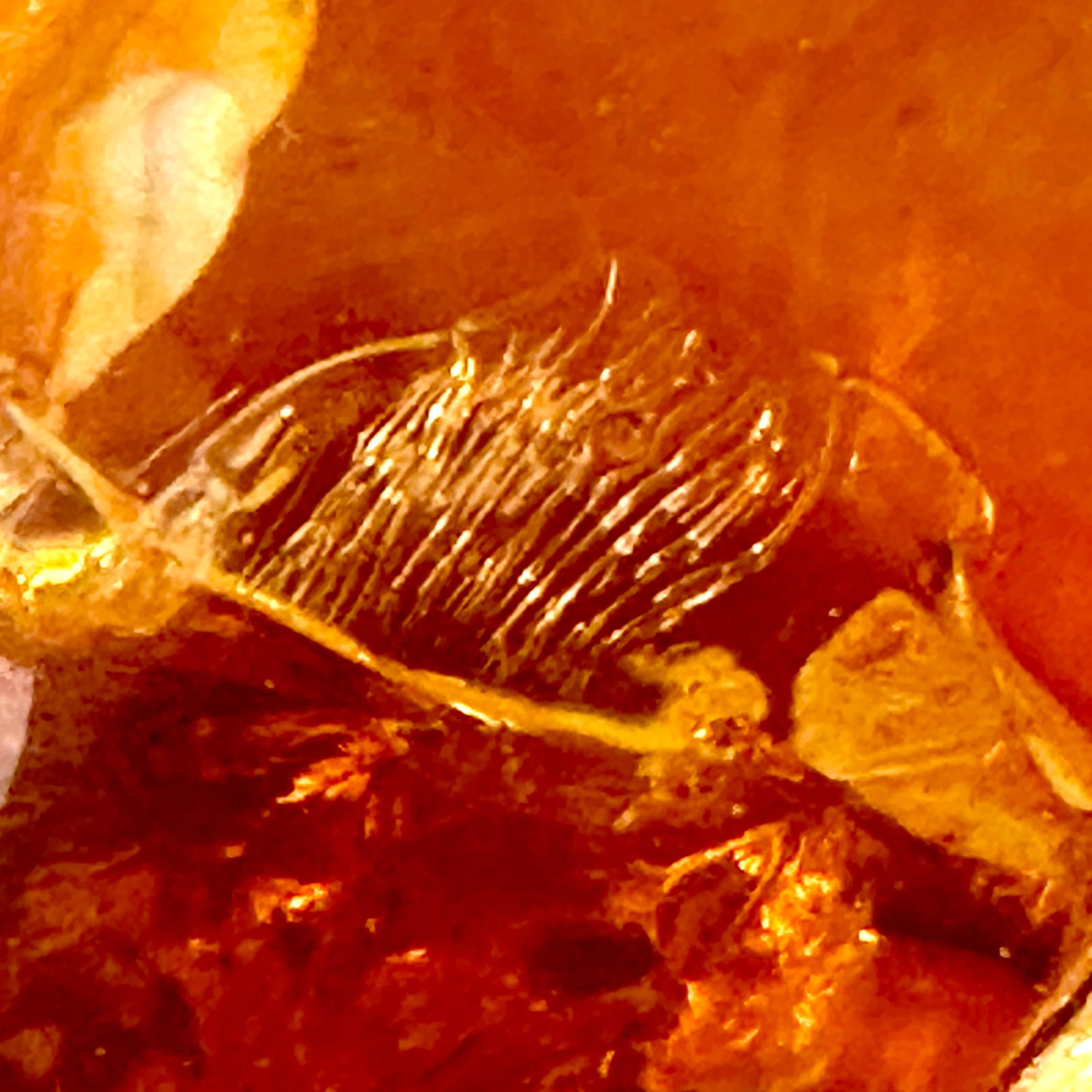 Amber Resin Fractal in the style of Francois Godebski, ca 1970s For Sale 5