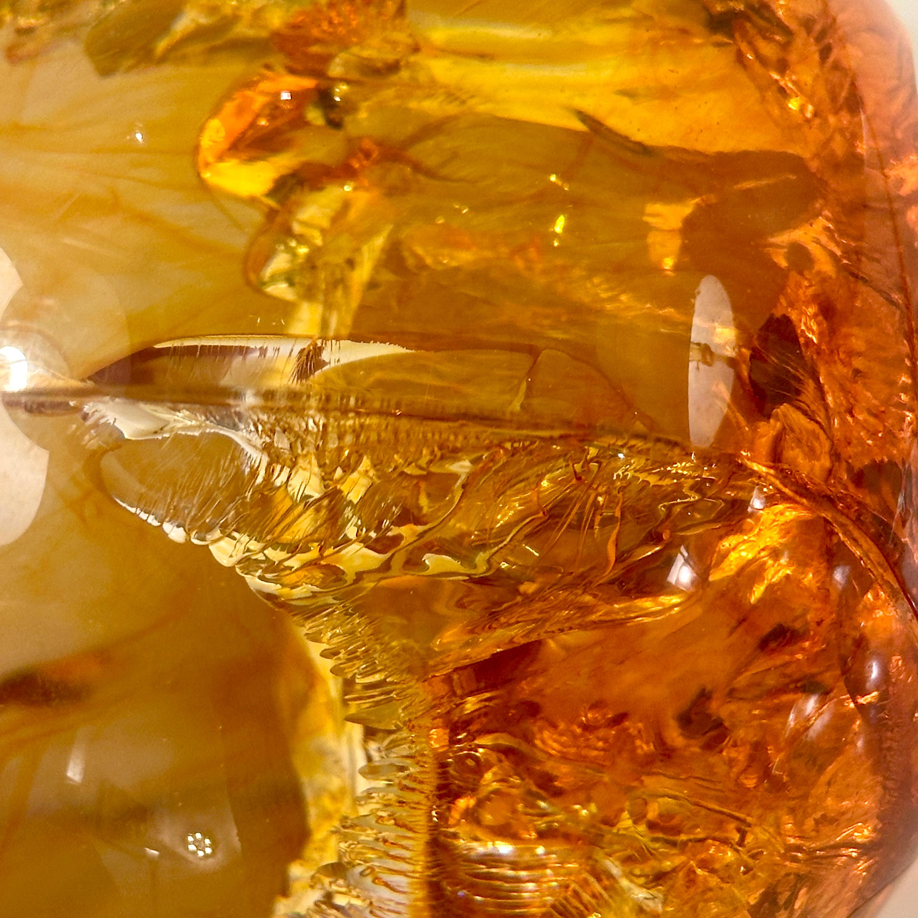 Amber Resin Fractal in the style of Francois Godebski, ca 1970s For Sale 6