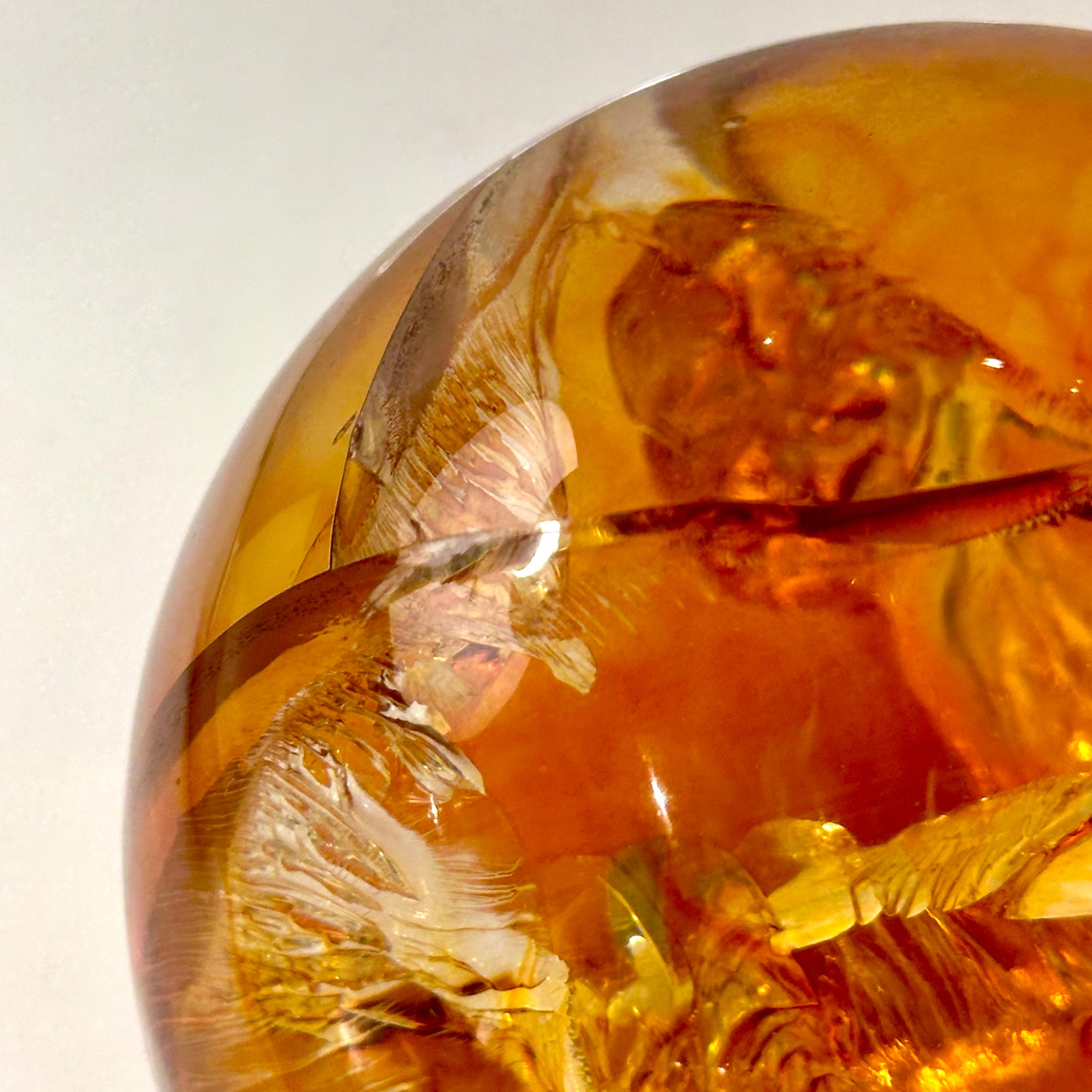 Amber Resin Fractal in the style of Francois Godebski, ca 1970s For Sale 3