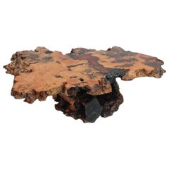 Amber Root Coffee Table