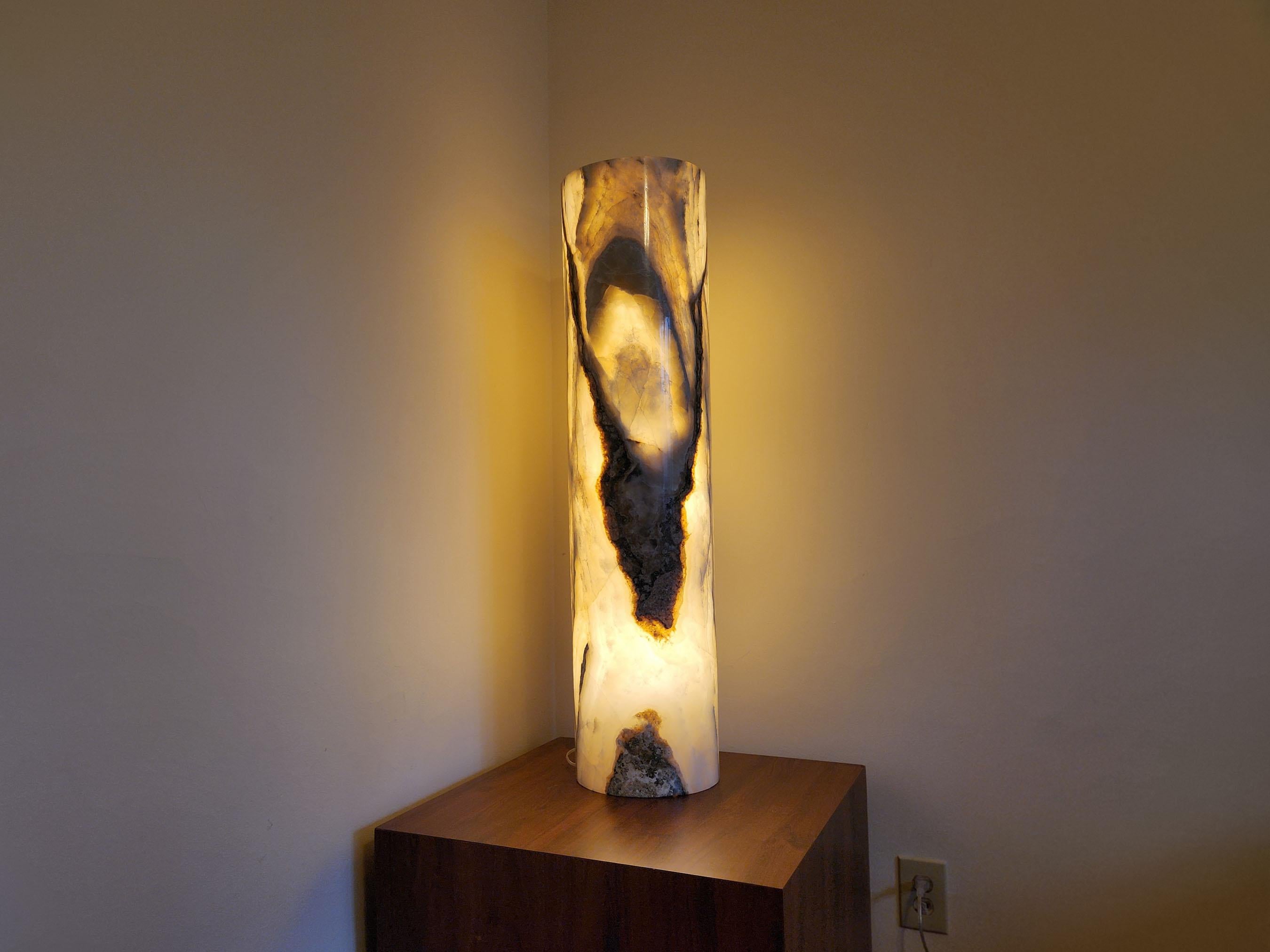 Ambient Floor Lamp in Onyx For Sale 2