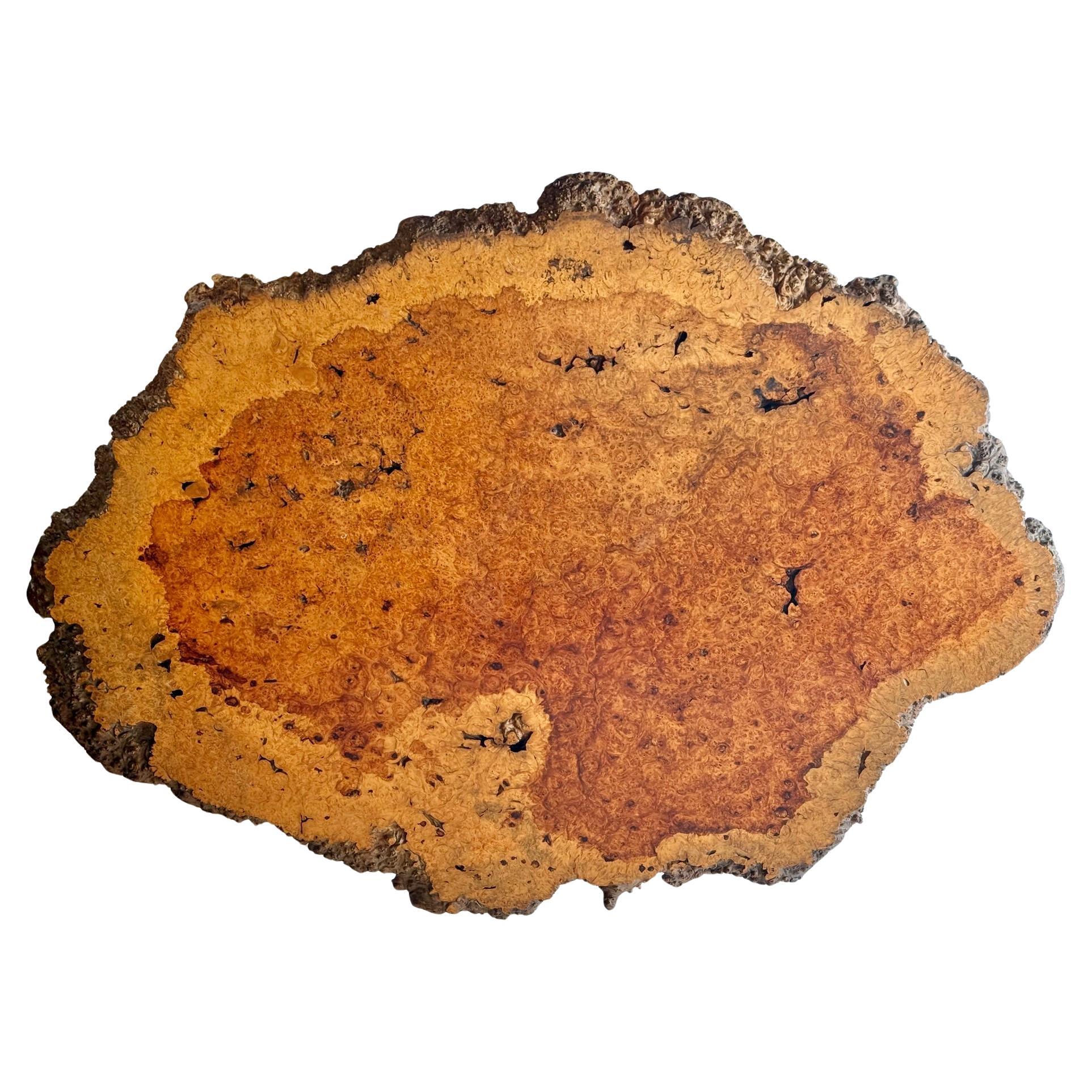 Amboyna Burl Wood from the Philippines.  Very rare Wood and Size.  Live Edge.