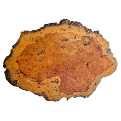 Amboyna Burl Wood from the Philippines.  Very rare Wood and Size.  Live Edge.