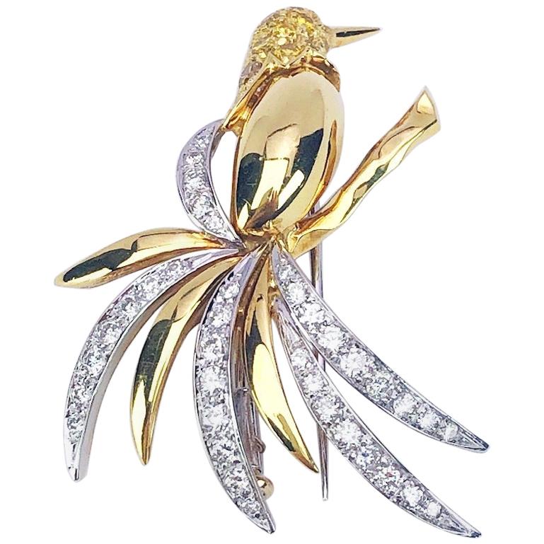 Ambrosi Hummingbird Brosche aus 18 Karat Gelbgold mit gelben und weißen Diamanten