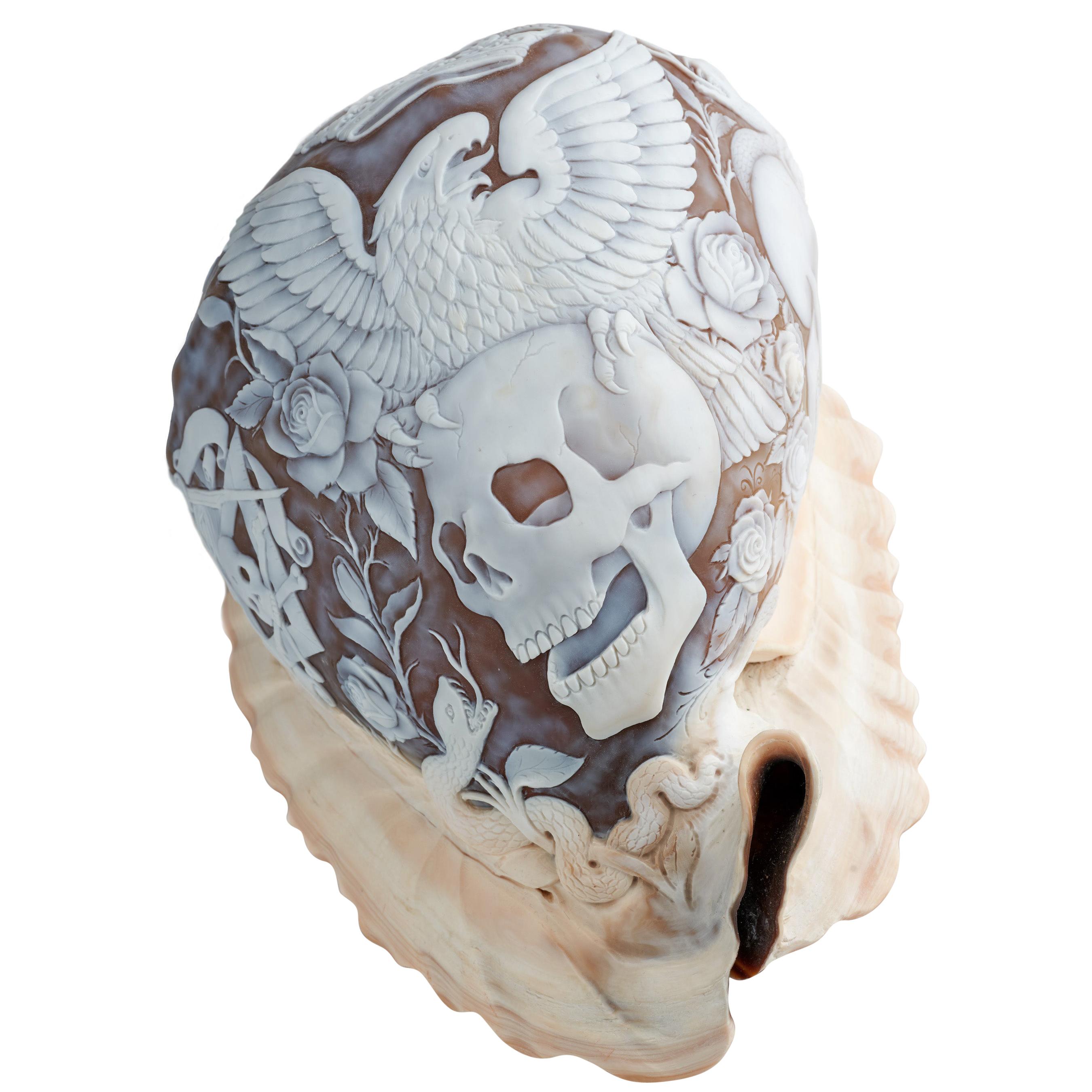 Amedeo One of a Kind "Profound Enlightenment" Conch Shell