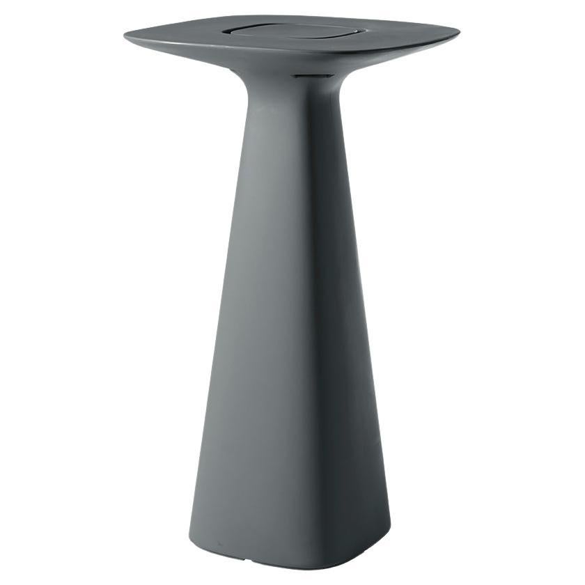 Amélie Up Elephant Grey Table by Italo Pertichini