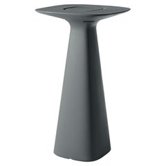 Amélie Up Elephant Grey Table by Italo Pertichini