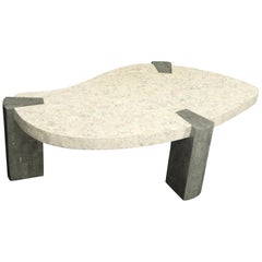 Ameoba Organic Kidney Shape Stone Marble Tile Veneer Coffee Table