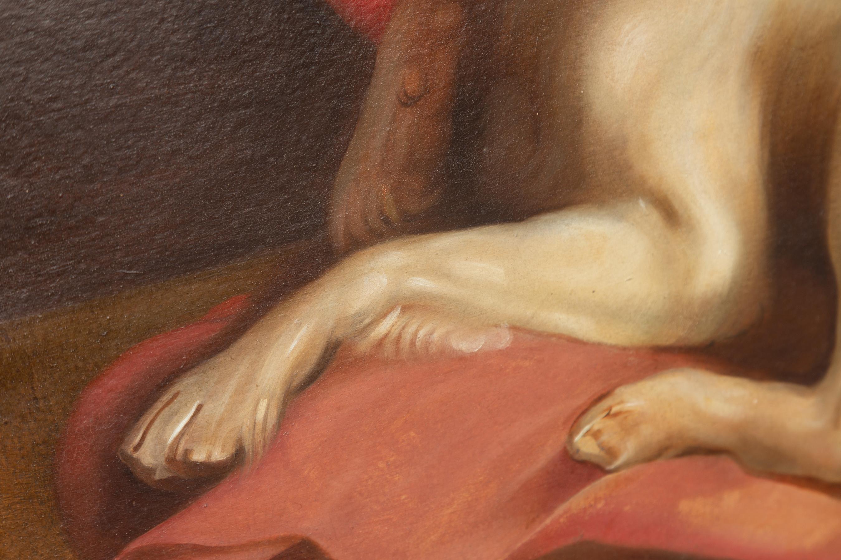 American 1890s Framed Oil on Board Painting Depicting a Dog Lying on a Red Drape For Sale 6