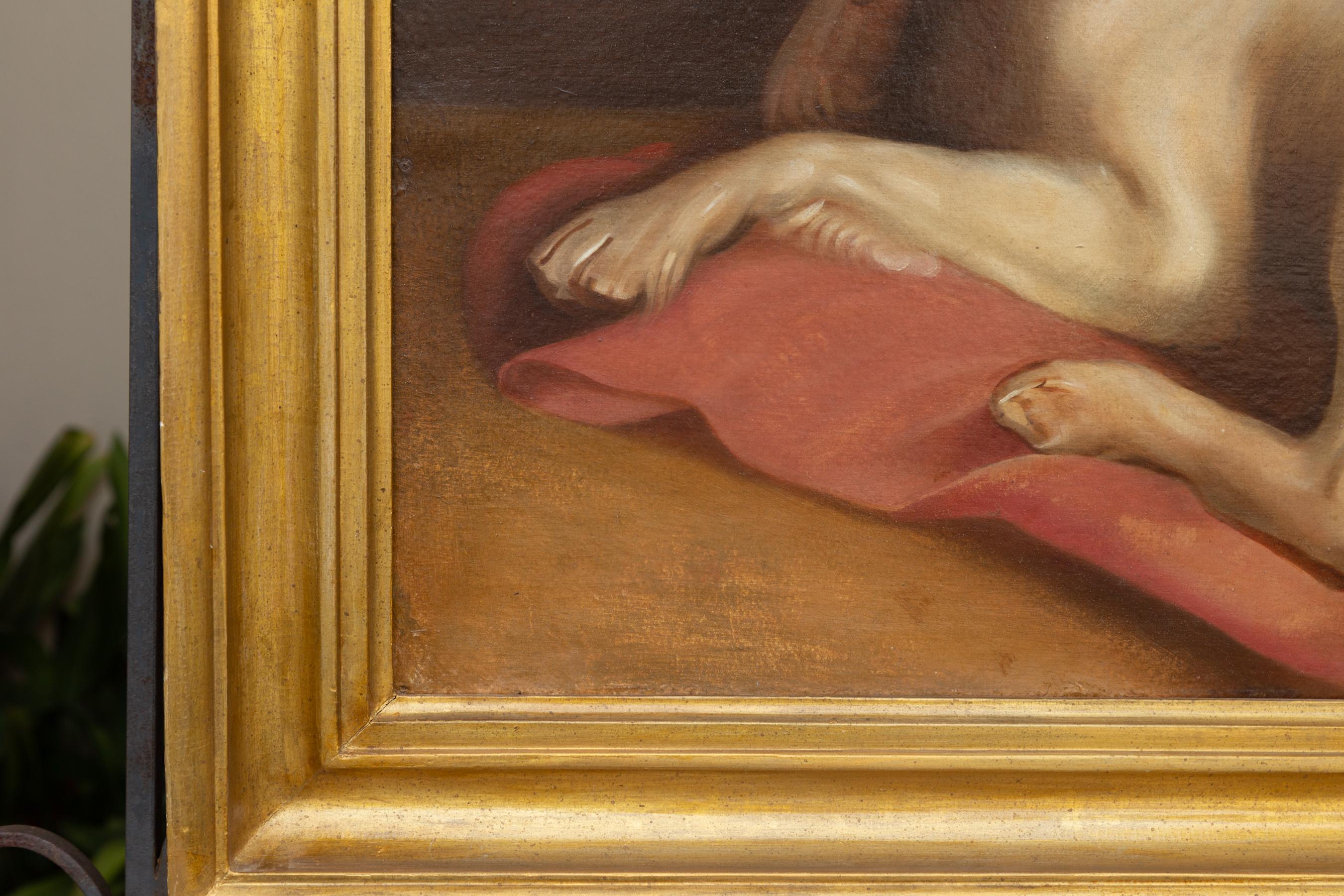 Wood American 1890s Framed Oil on Board Painting Depicting a Dog Lying on a Red Drape For Sale