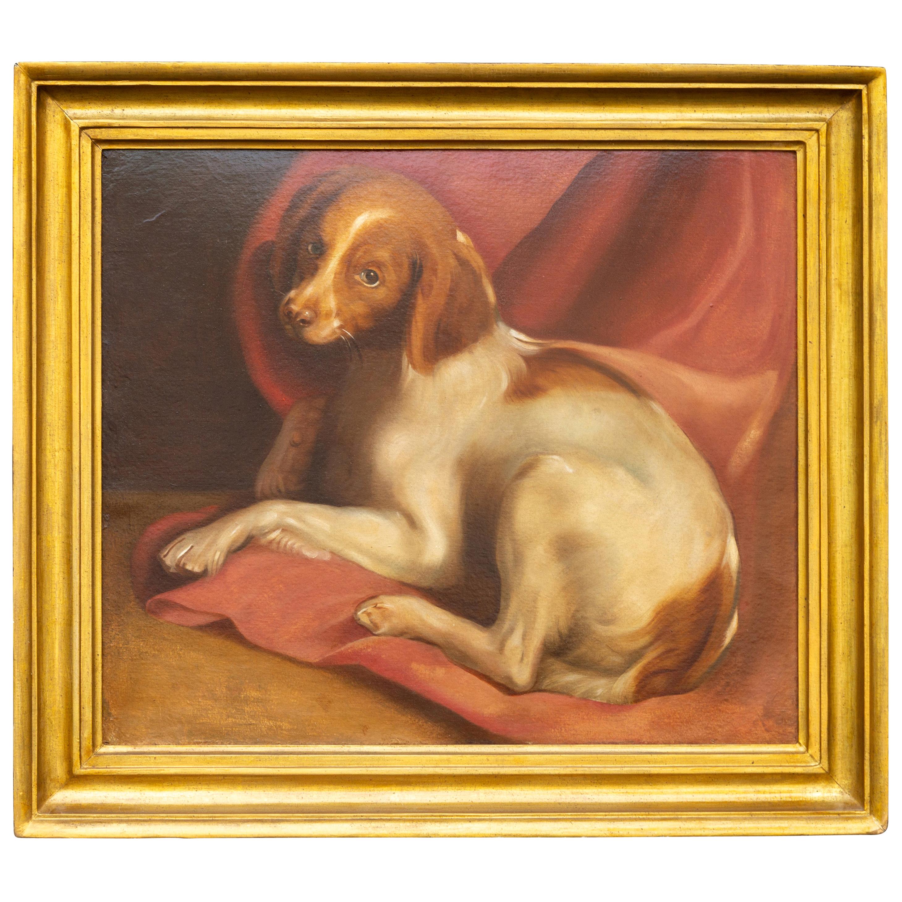 Peinture à l'huile sur carton américaine des années 1890 représentant un chien couché sur un drapé rouge