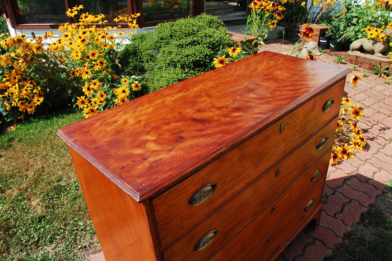 Federal American 18th Century Maple Chest of Four Graduated Drawers with Bracket Base