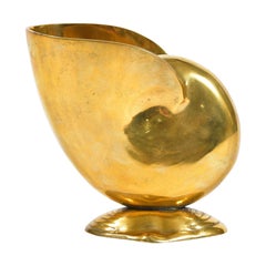 American 1950s Brass Shell Nautilus