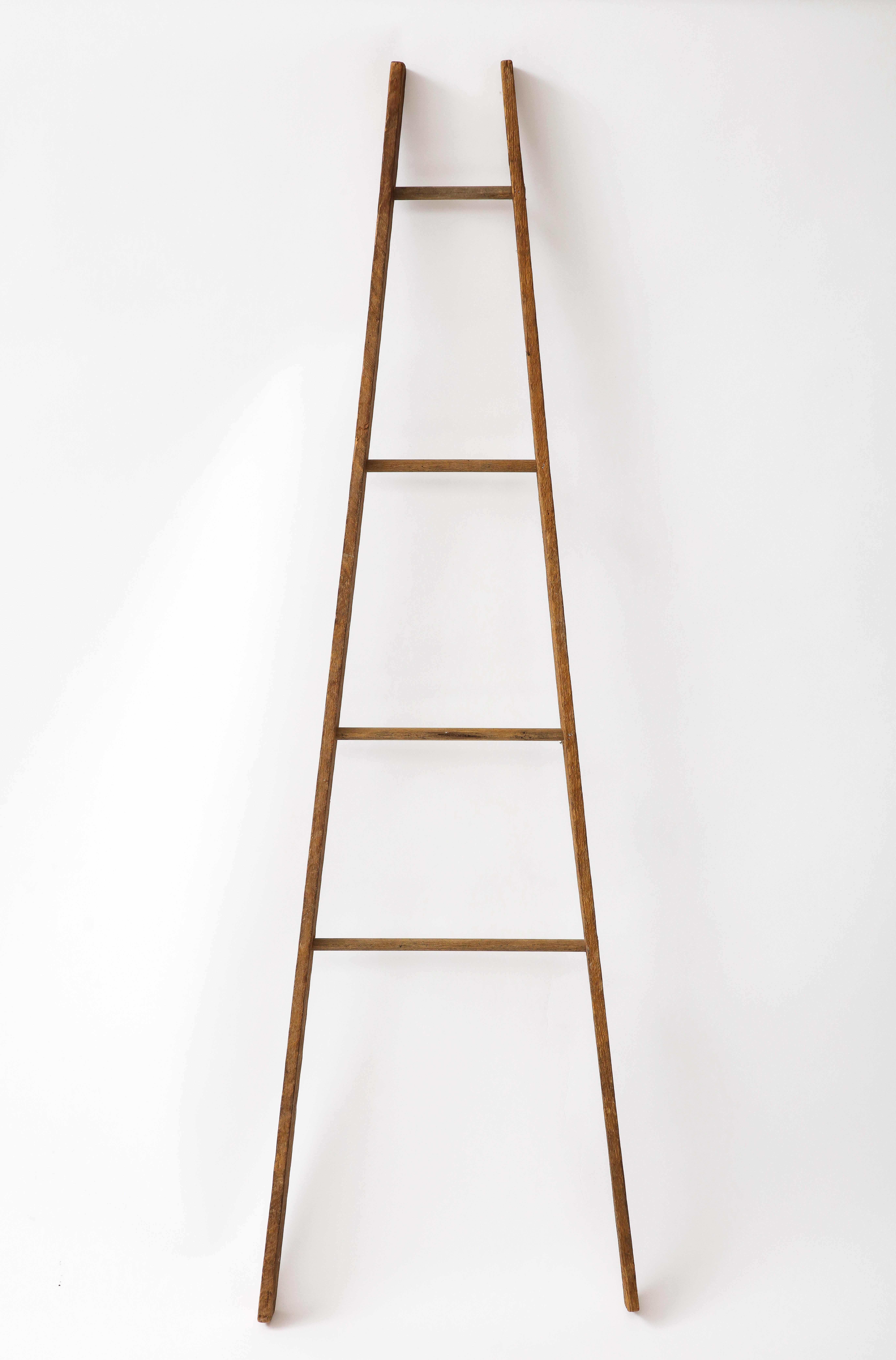 American 19th C. Ladder Model In Good Condition For Sale In Brooklyn, NY